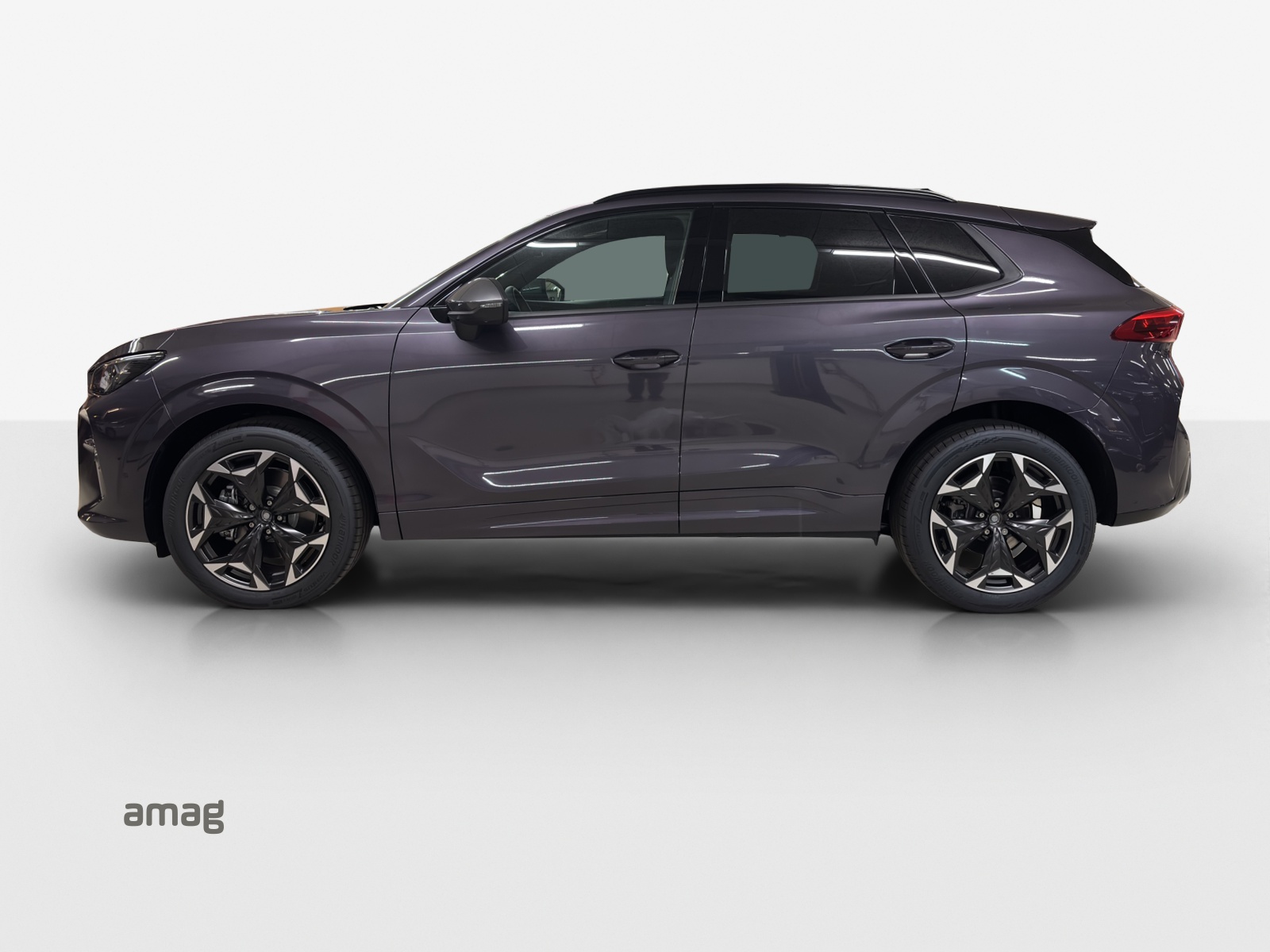 CUPRA Terramar 2.0 TSI DSG 4Drive-showroom-element-1