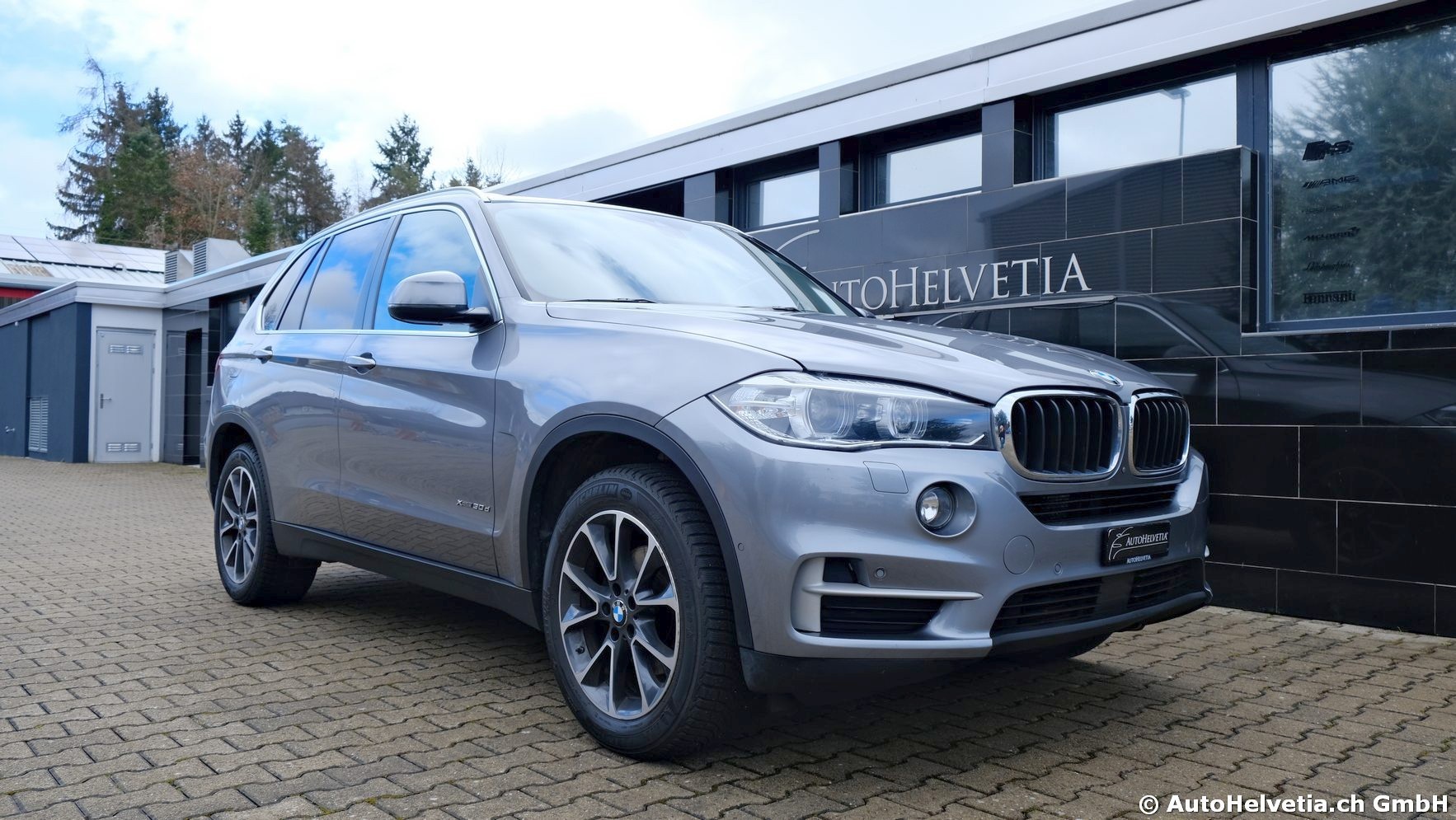 BMW X5 xDrive 30d Steptronic-showroom-element-1