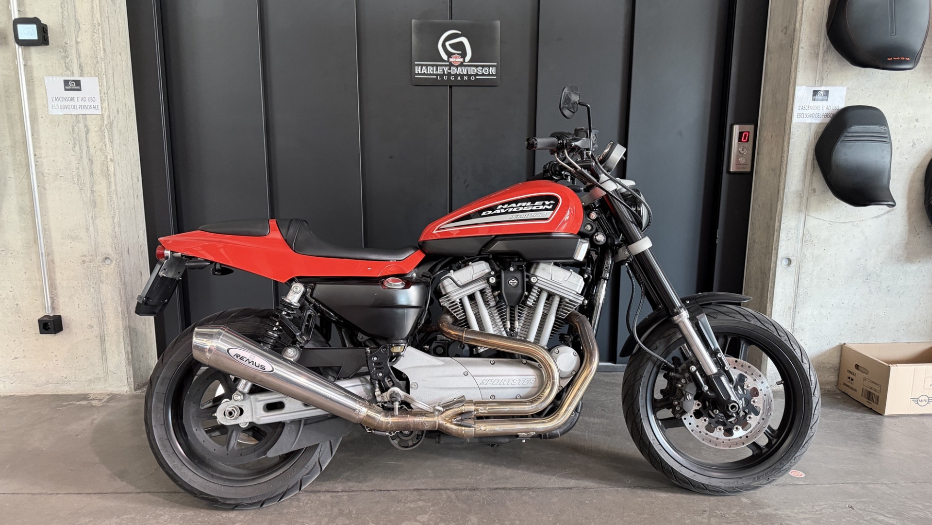 HARLEY-DAVIDSON XR 1200 Sportster-image-0