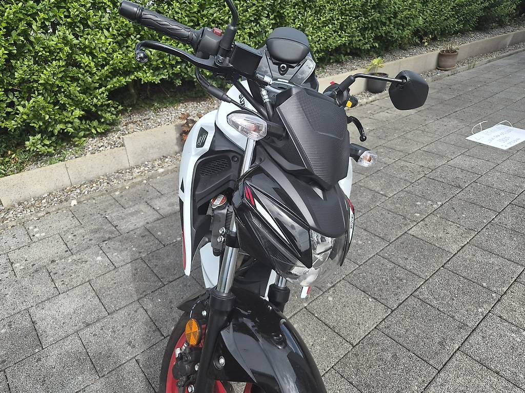 SUZUKI GSX-S 125-image-2