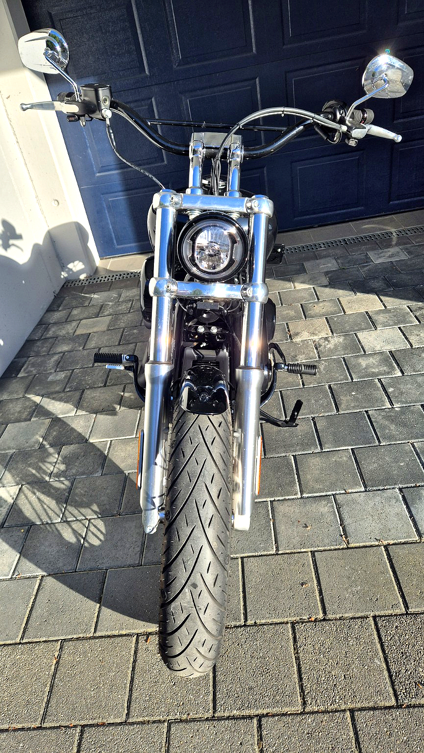 HARLEY-DAVIDSON FXST 1745 Standart ABS-image-1