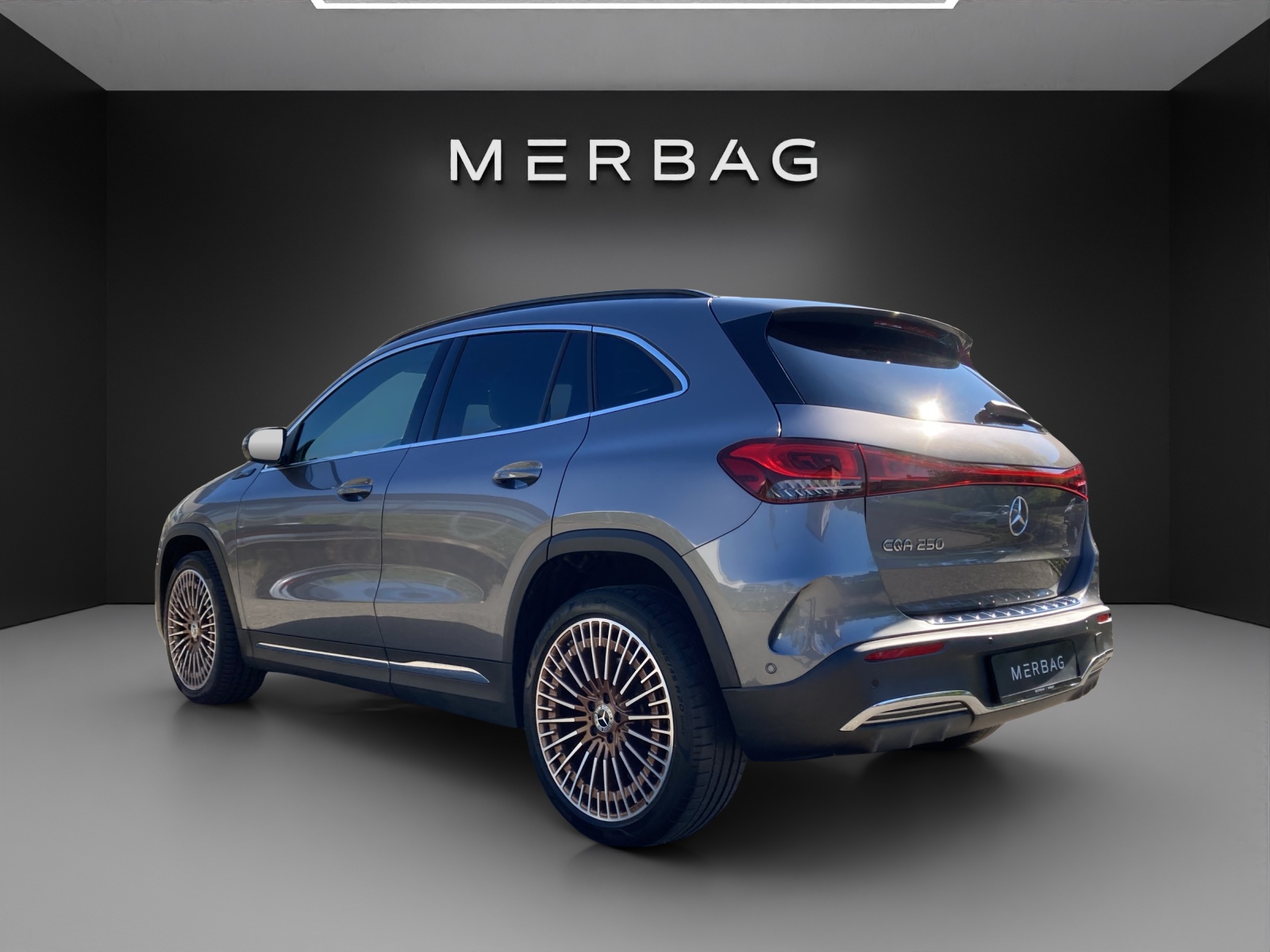 MERCEDES-BENZ EQA 250 Edition 1-image-11