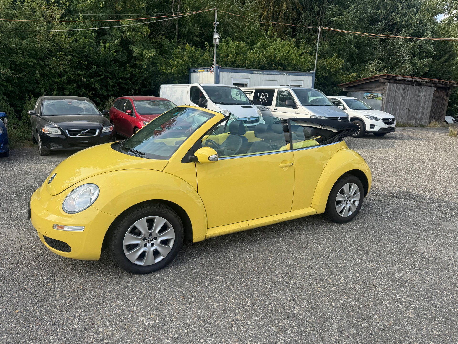 VW BEETLE-image-10
