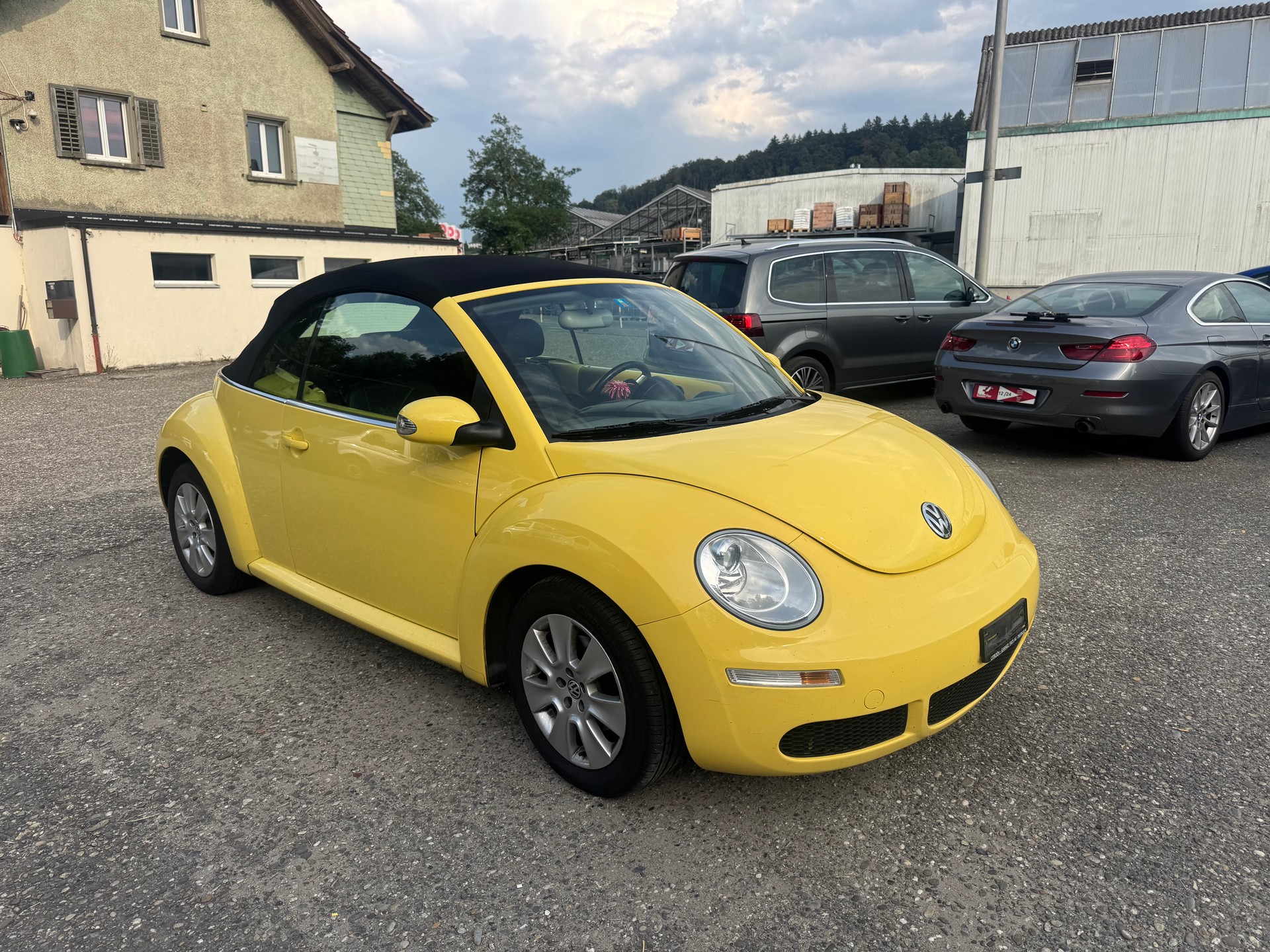 VW BEETLE-image-3