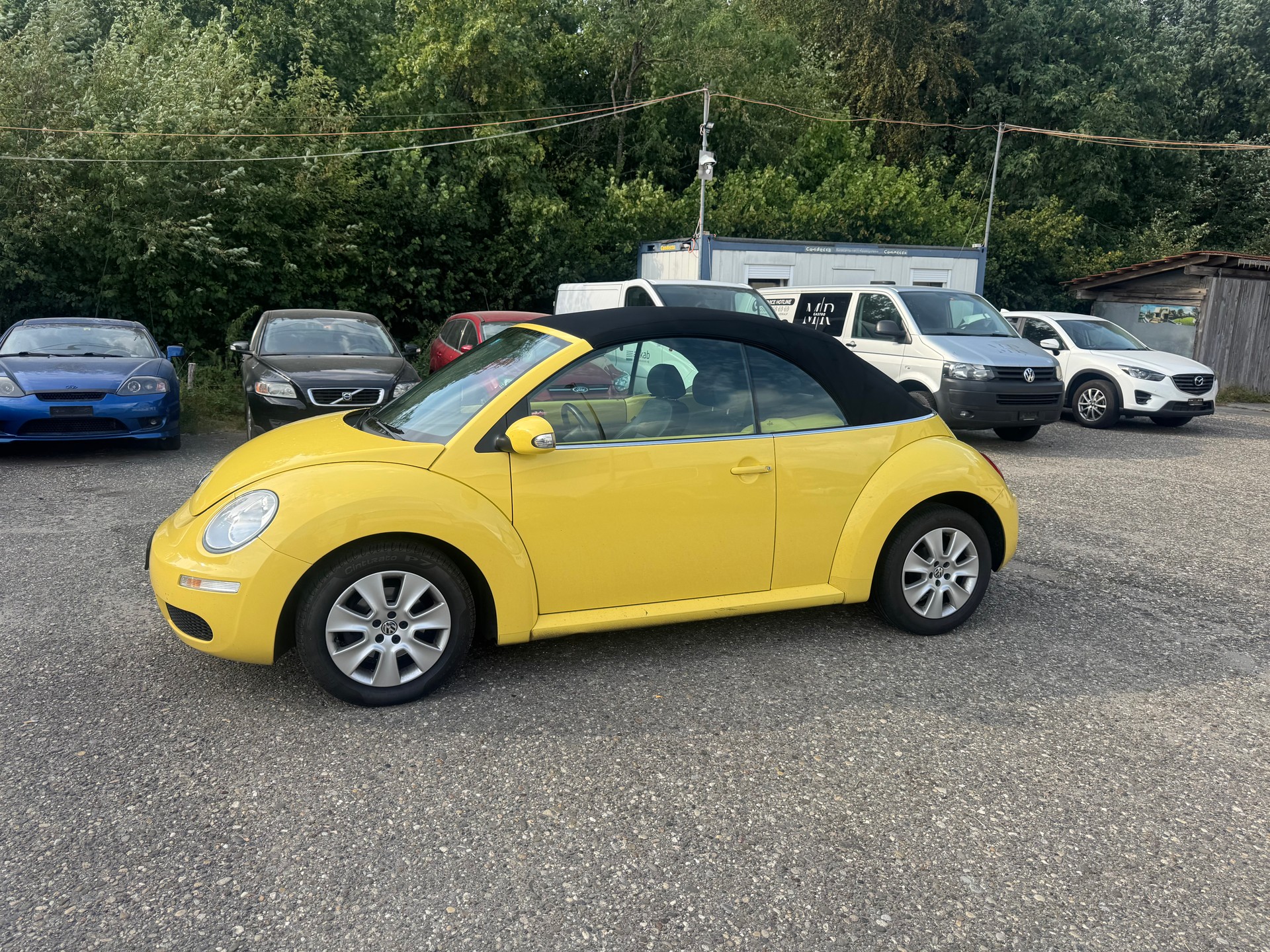 VW BEETLE-image-2