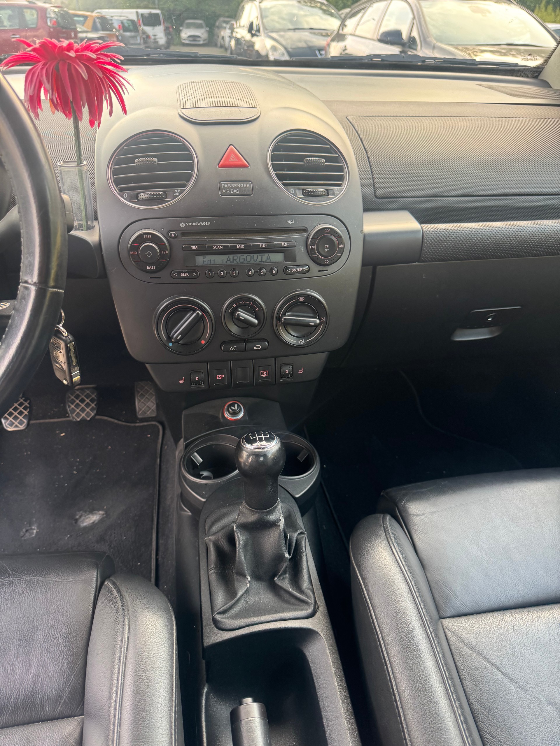 VW BEETLE-image-9