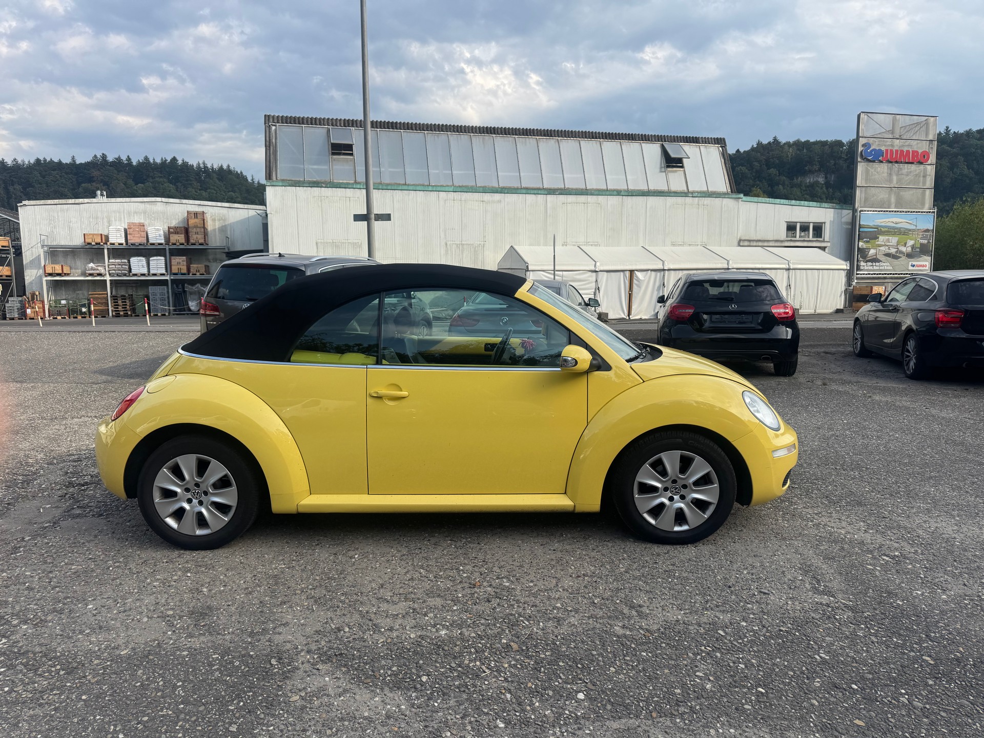 VW BEETLE-image-4