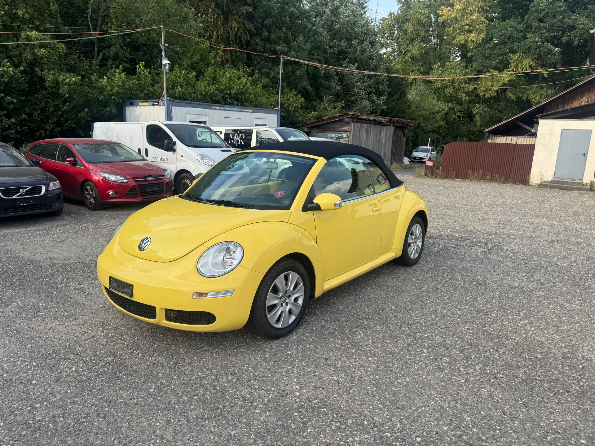 VW BEETLE-image-1
