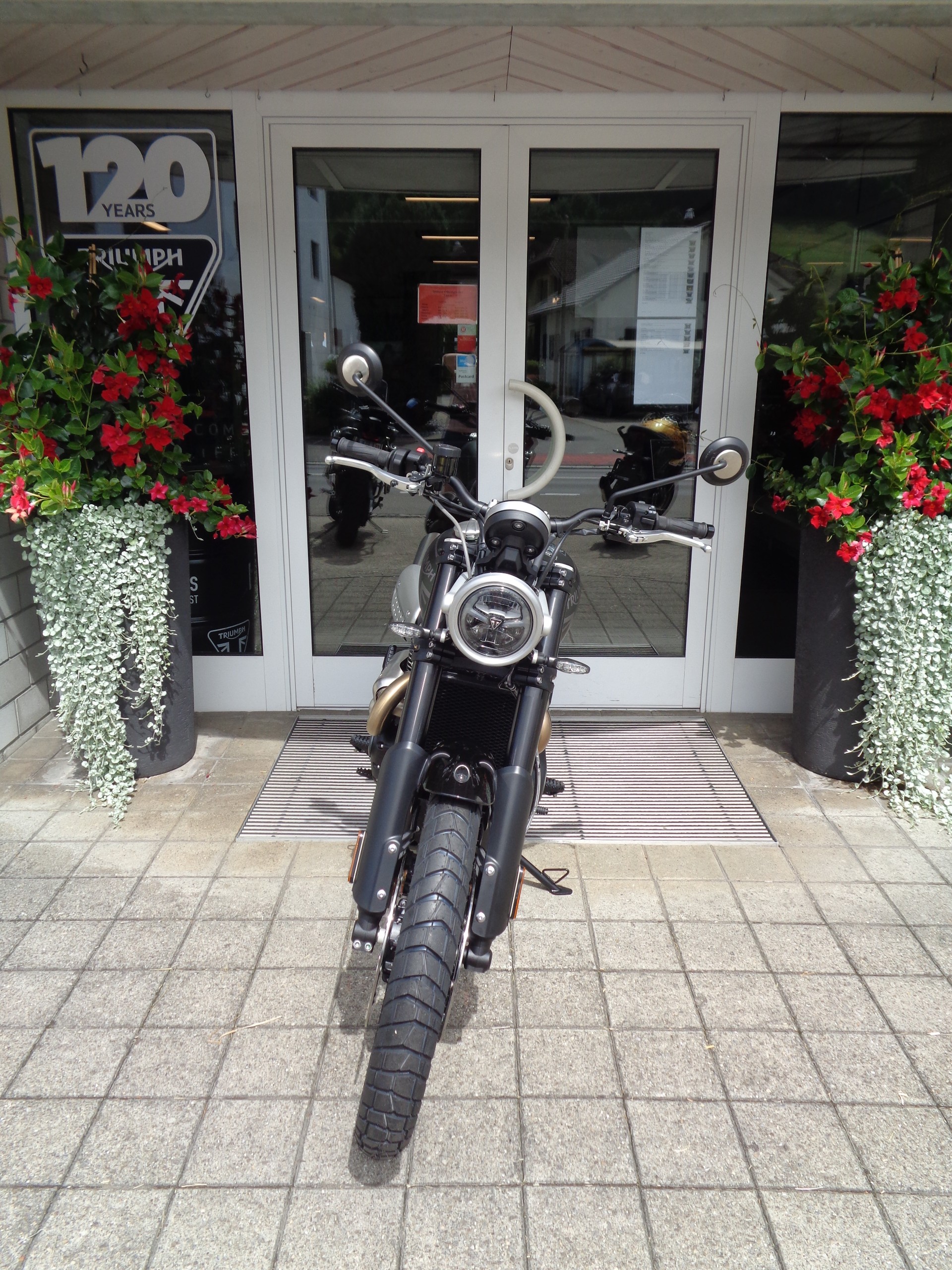 TRIUMPH Scrambler 1200 X-image-6