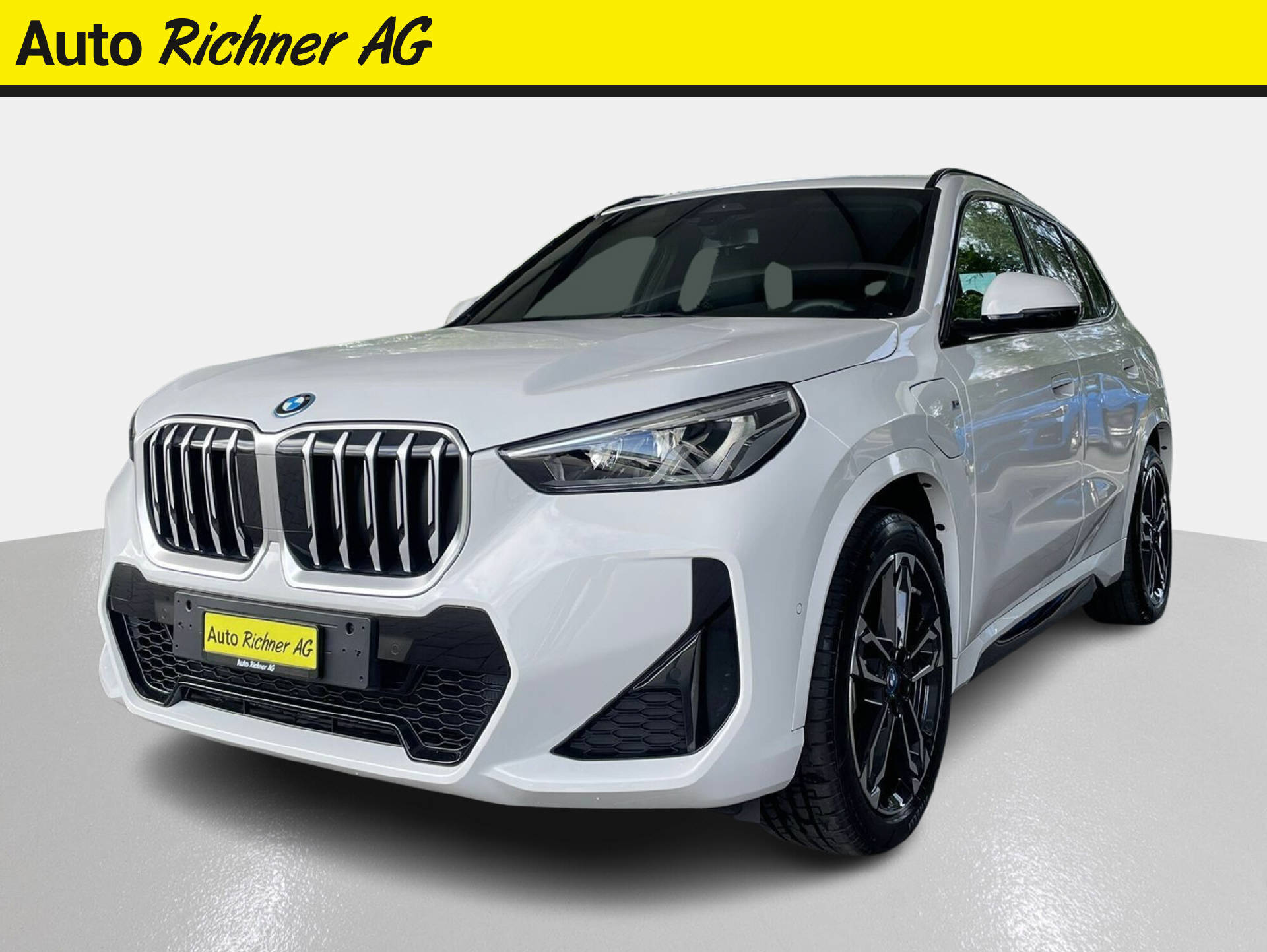 BMW X1 25e xDrive paddles-showroom-element-1