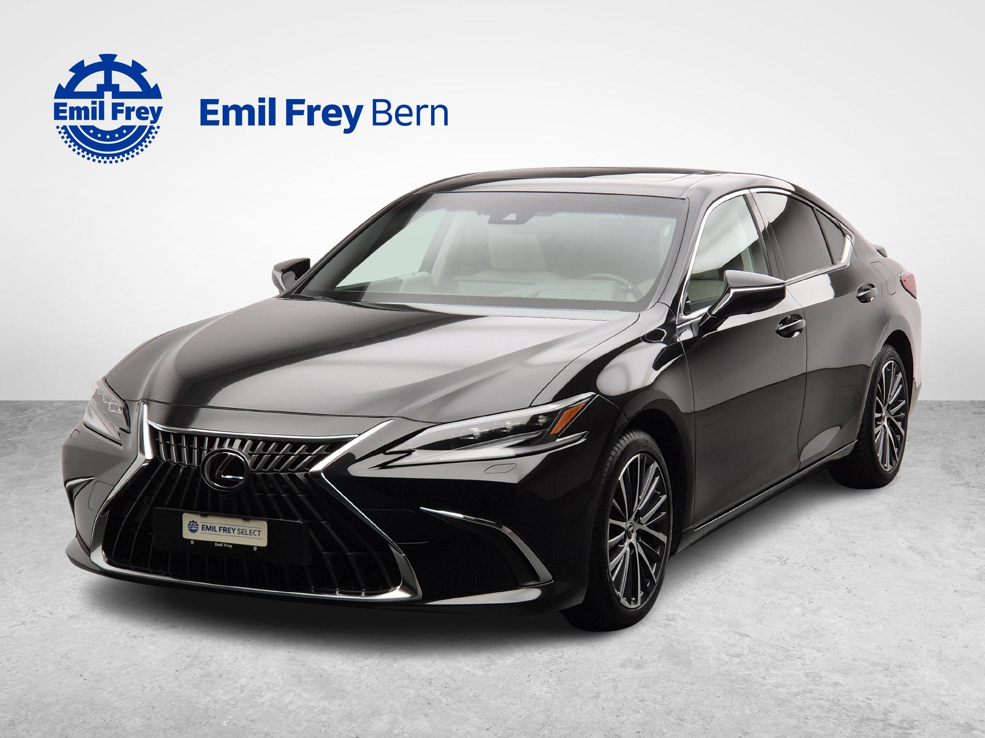 LEXUS ES 300h Excellence