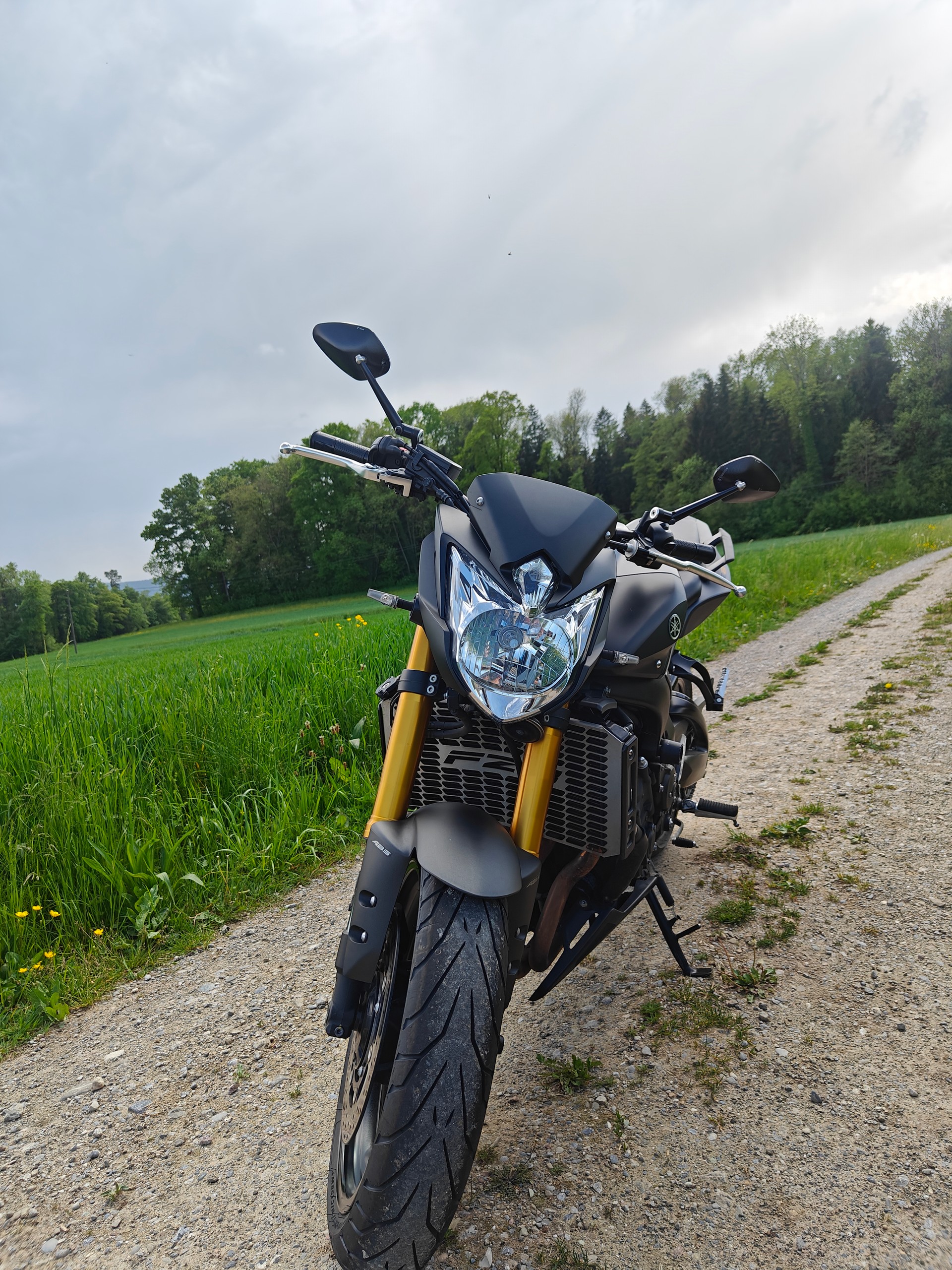 YAMAHA FZ8 N ABS Limited Edition