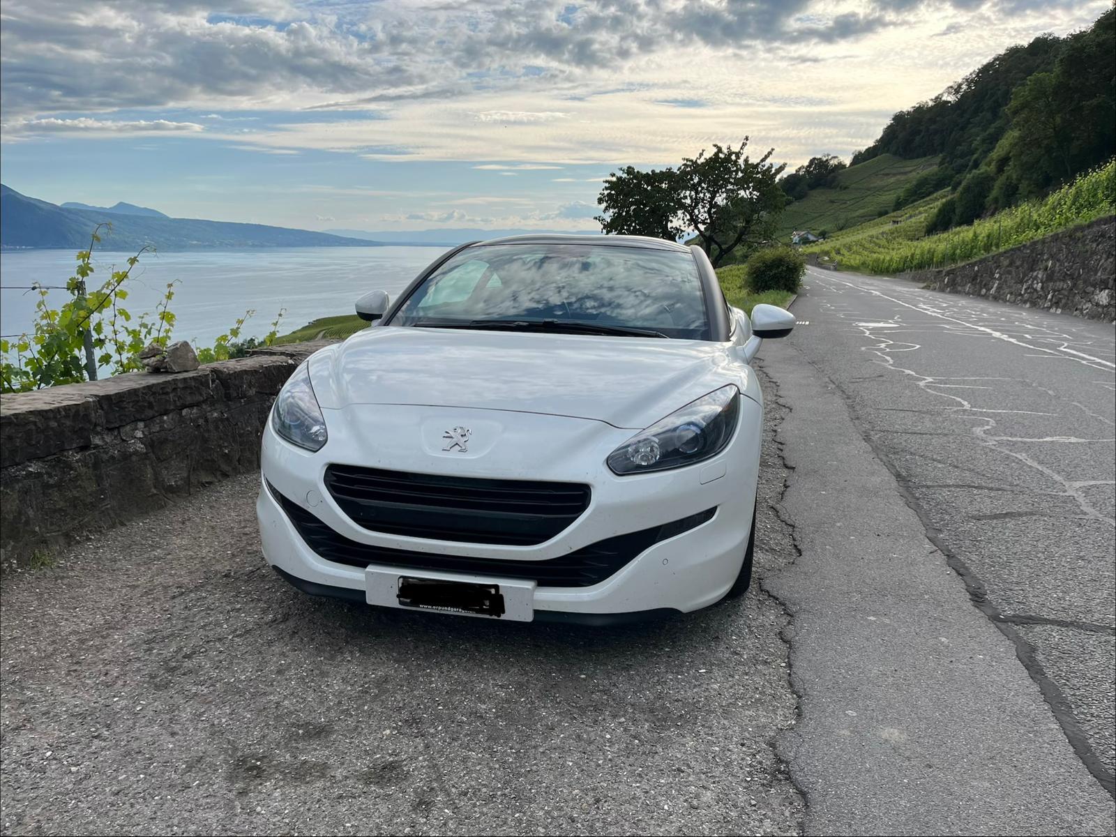 PEUGEOT 1.6 200 Turbo