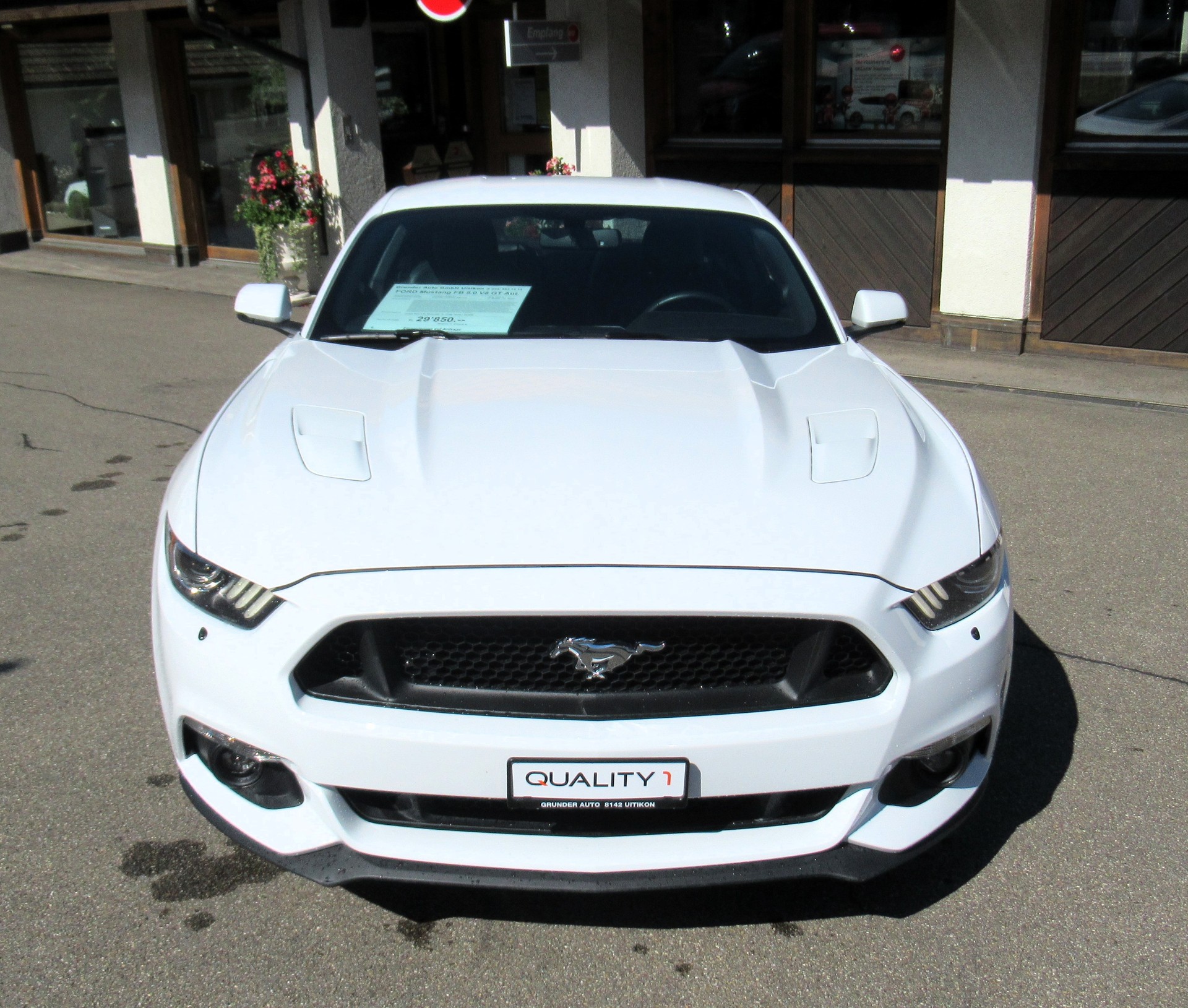 FORD Mustang Fastback 5.0 V8 GT-showroom-element-1
