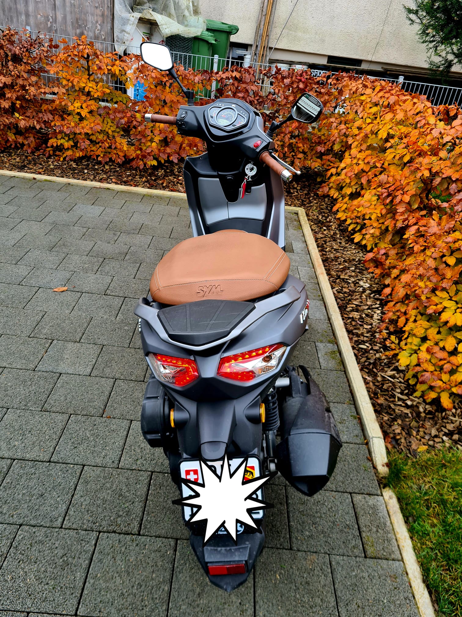 SYM HD 300-image-2