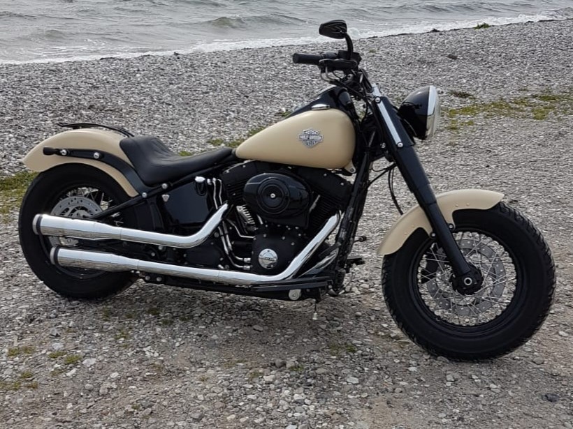 HARLEY-DAVIDSON Slim