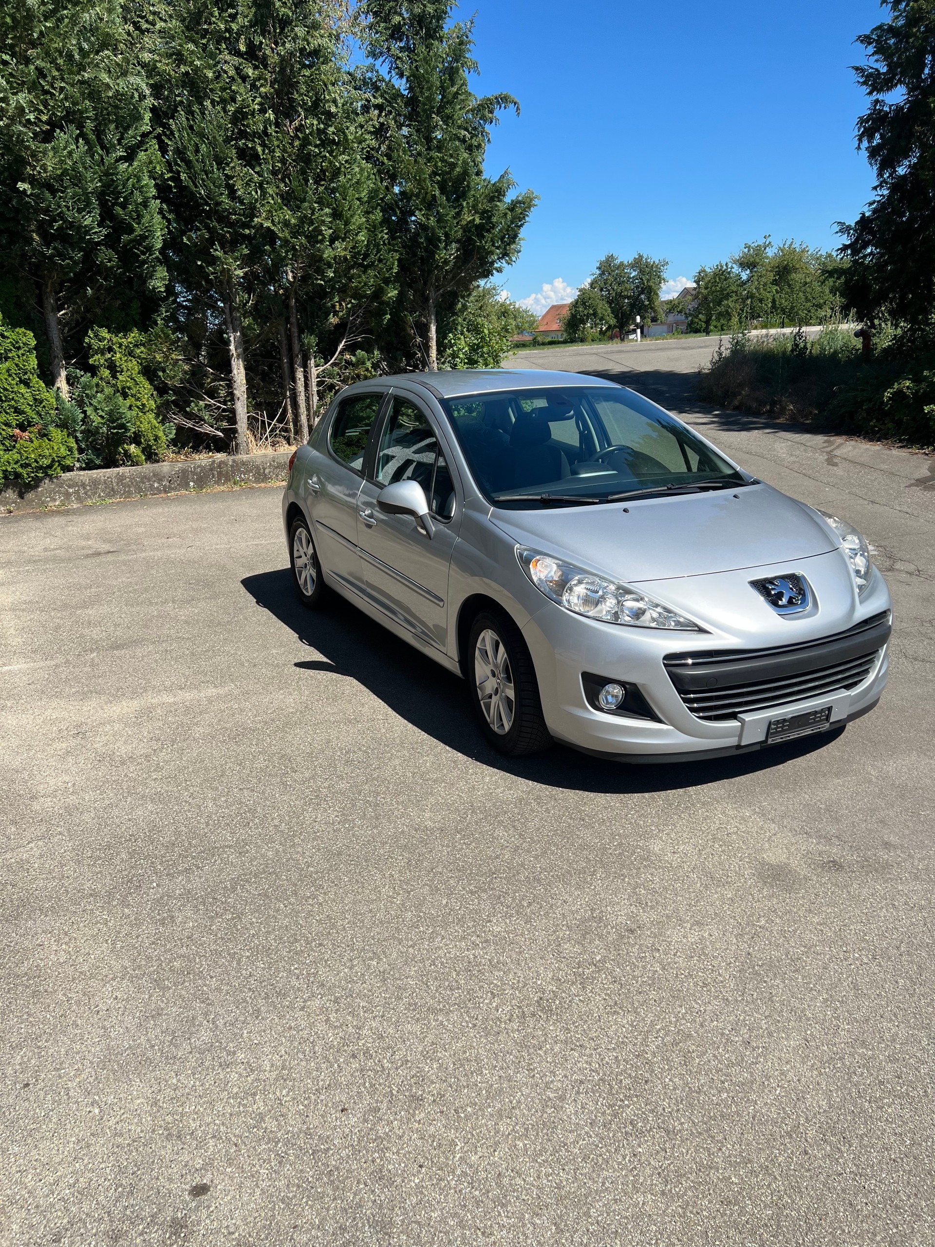 PEUGEOT 207-image-1