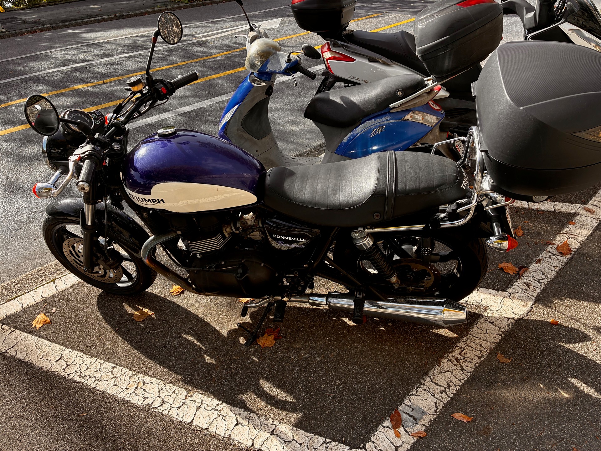 TRIUMPH Bonneville 900 T 100-image-1