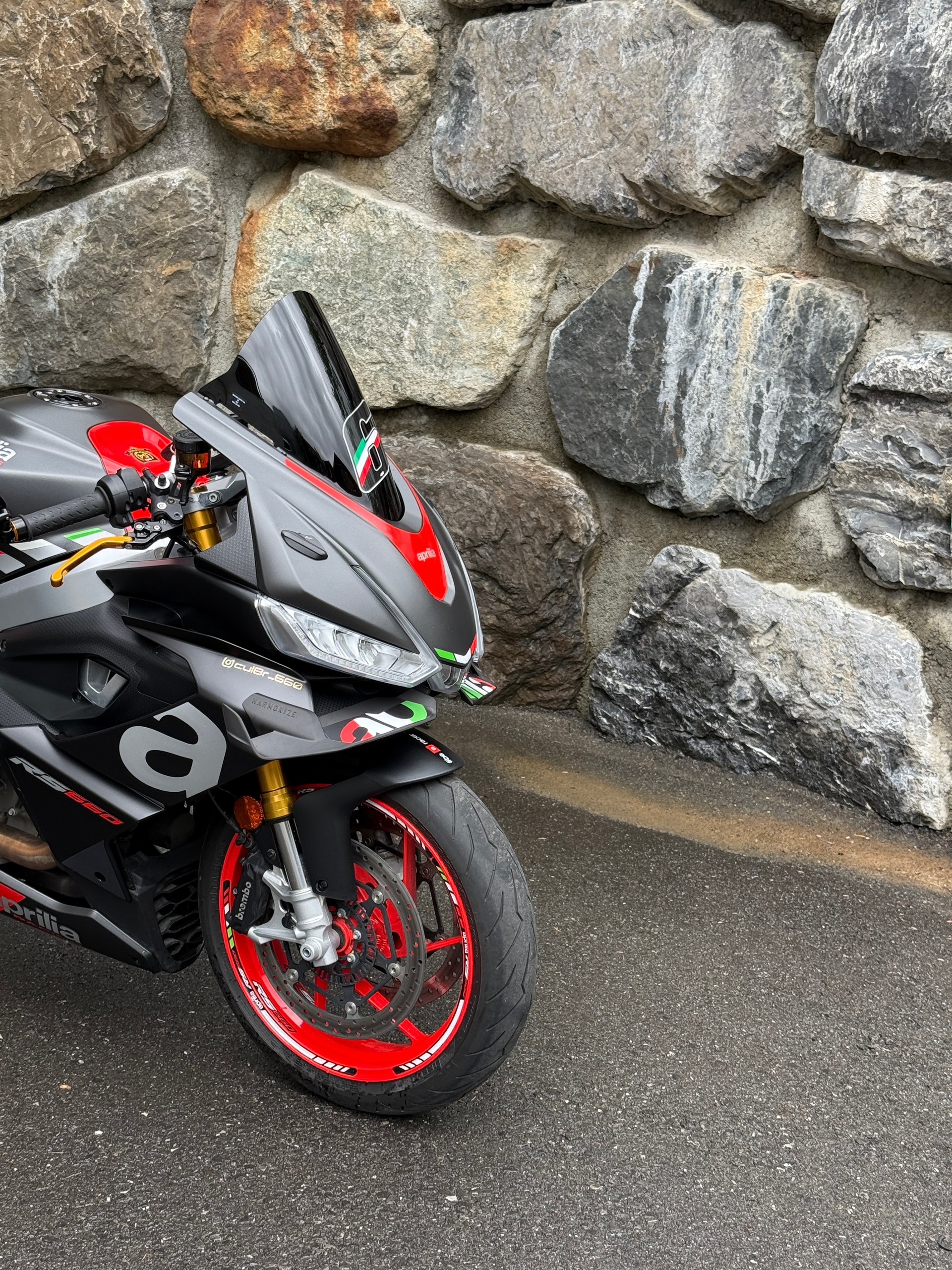 APRILIA RS 660 (35kW)-image-6