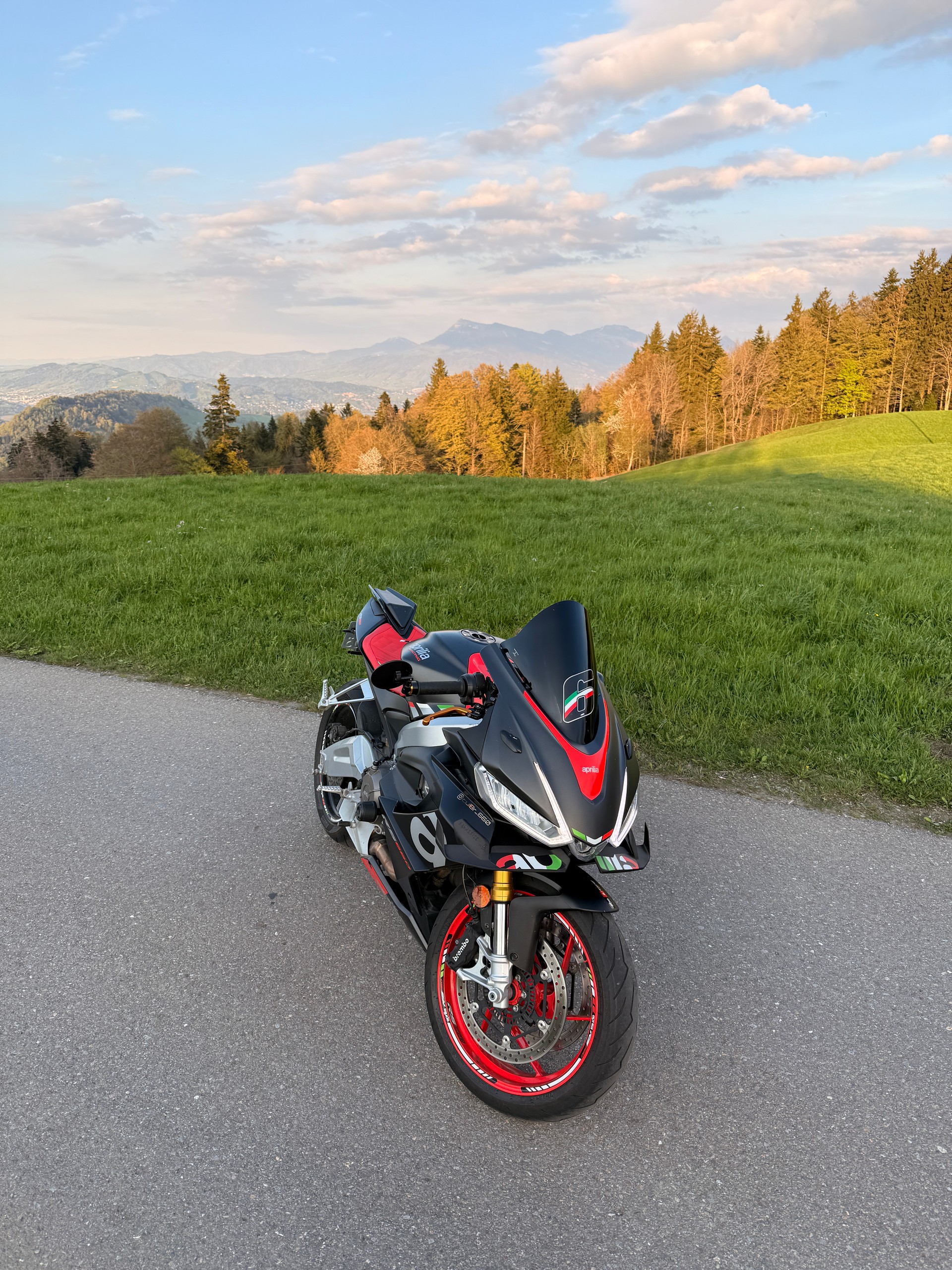APRILIA RS 660 (35kW)-image-10