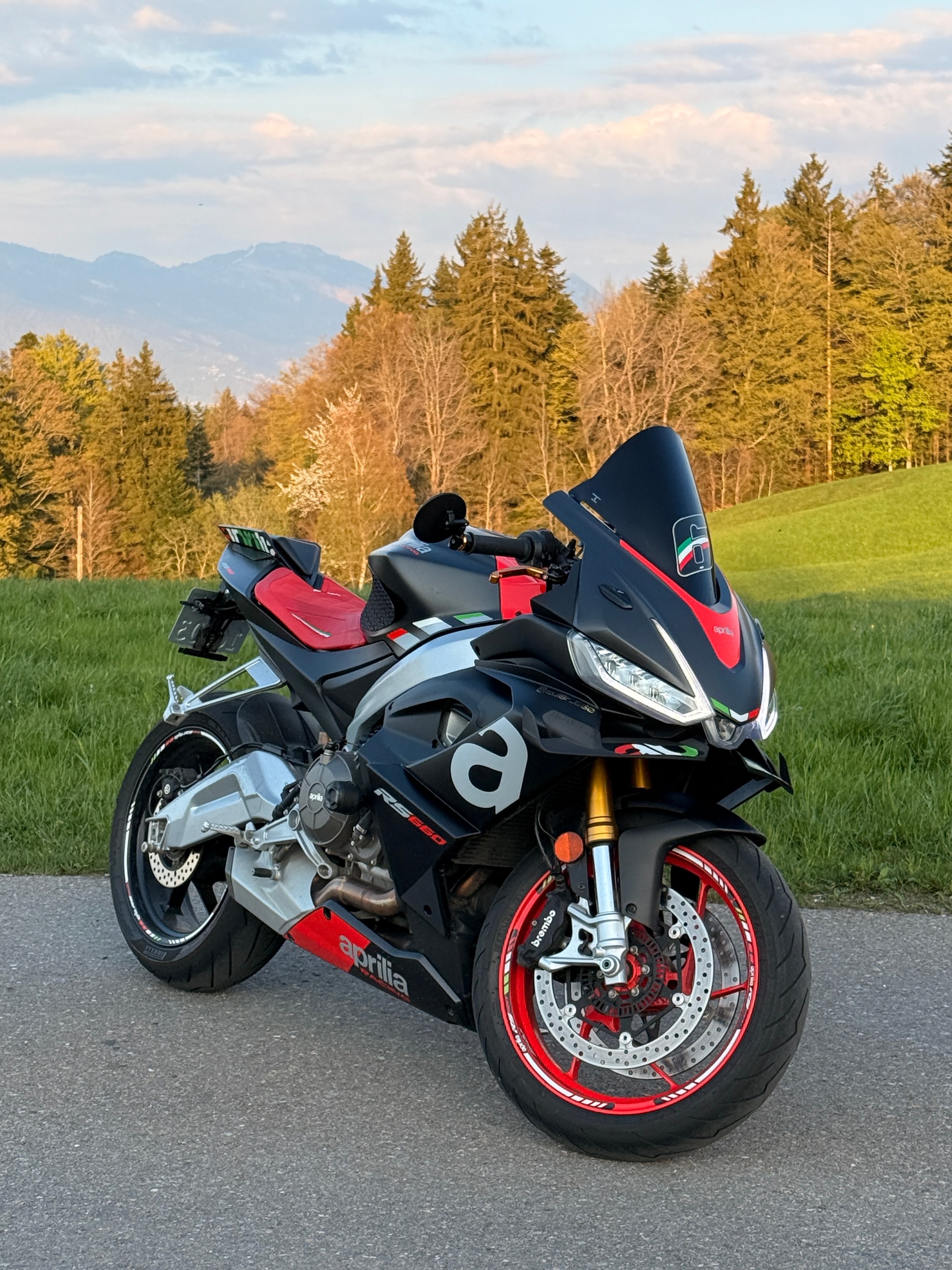 APRILIA RS 660 (35kW)-image-11