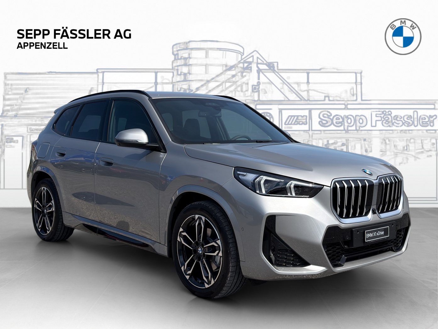 BMW X1 xDrive 20d 48V M Sport-image-6