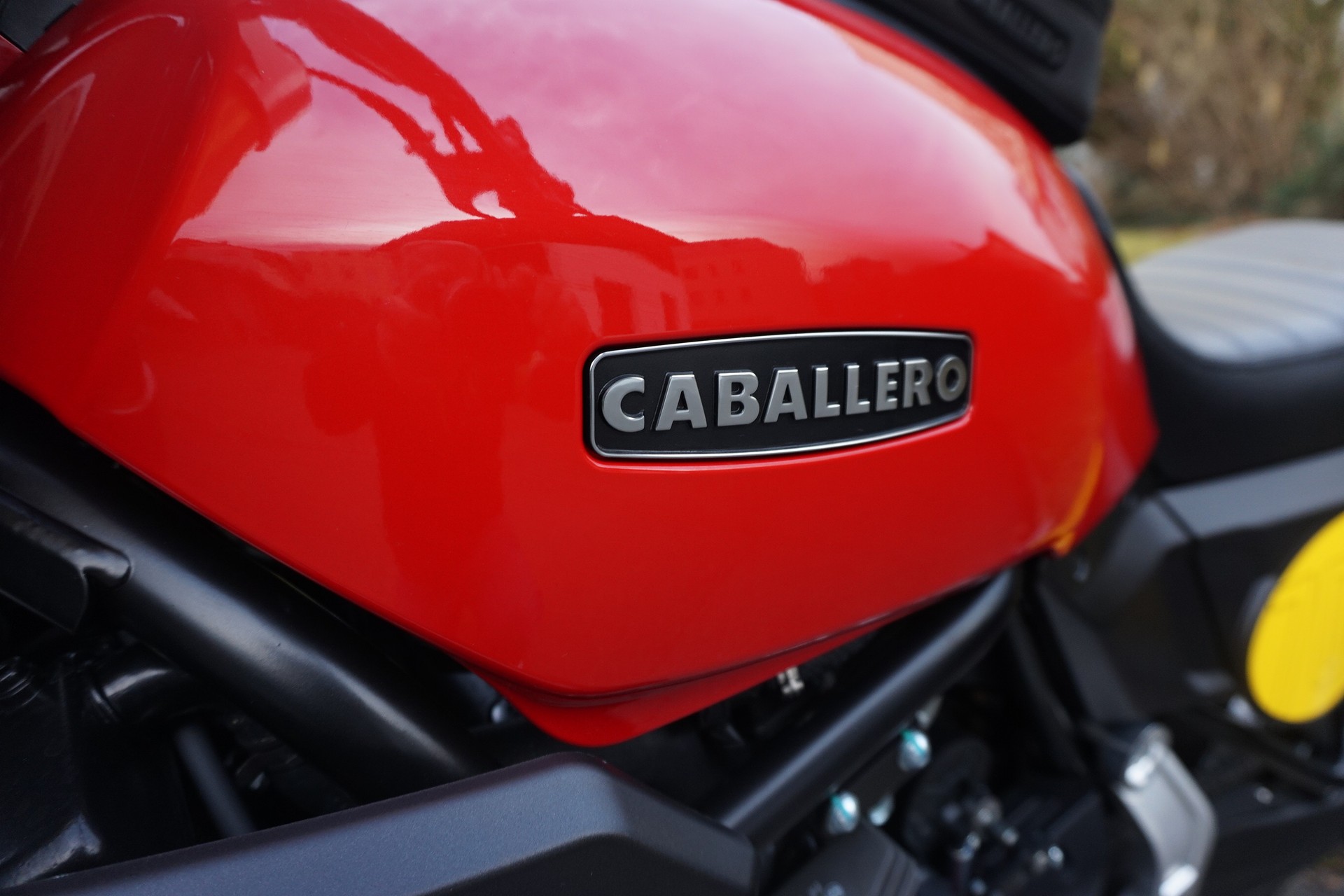 FANTIC Caballero 700 Scrambler ABS-image-9