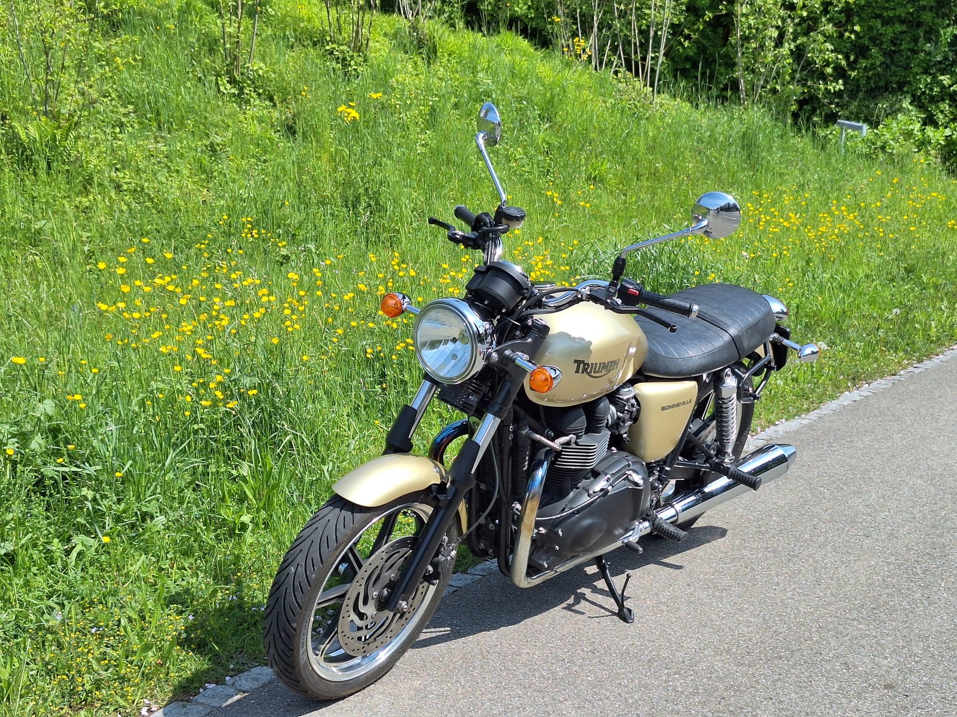 TRIUMPH Bonneville 900 i-image-5