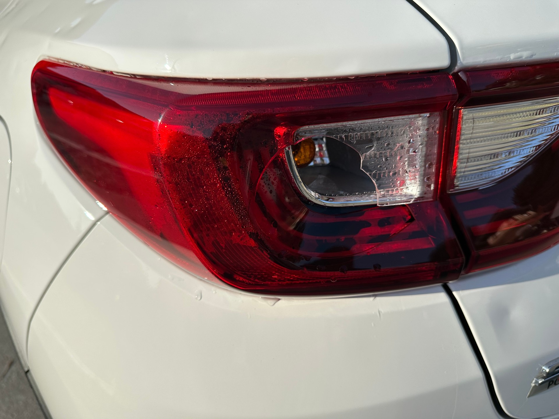 KIA Stonic 1.0 T-GDi FIXPREIS-image-13