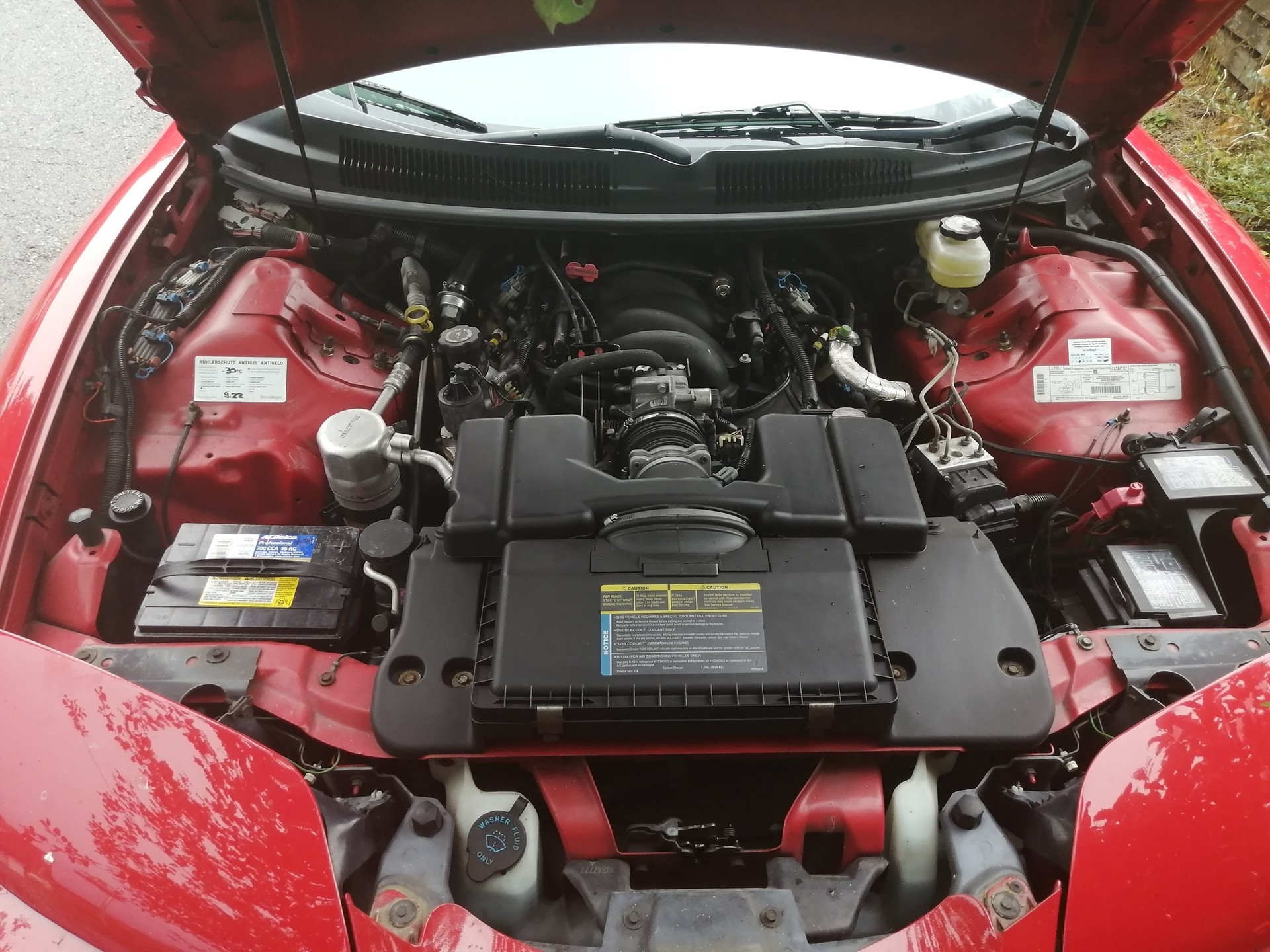 PONTIAC Firebird 5.7 V8 Trans Am-image-1