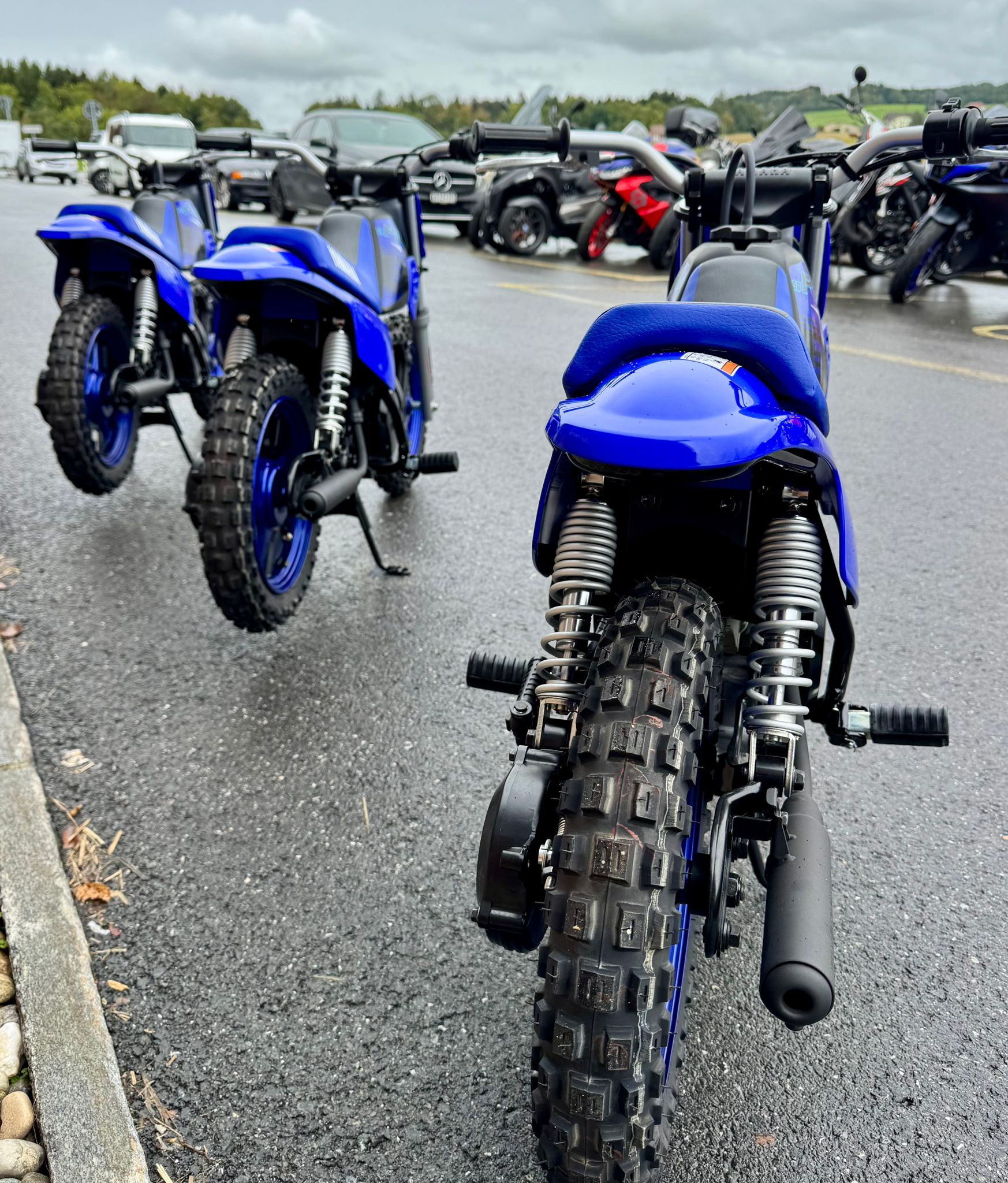 YAMAHA PW50-image-8