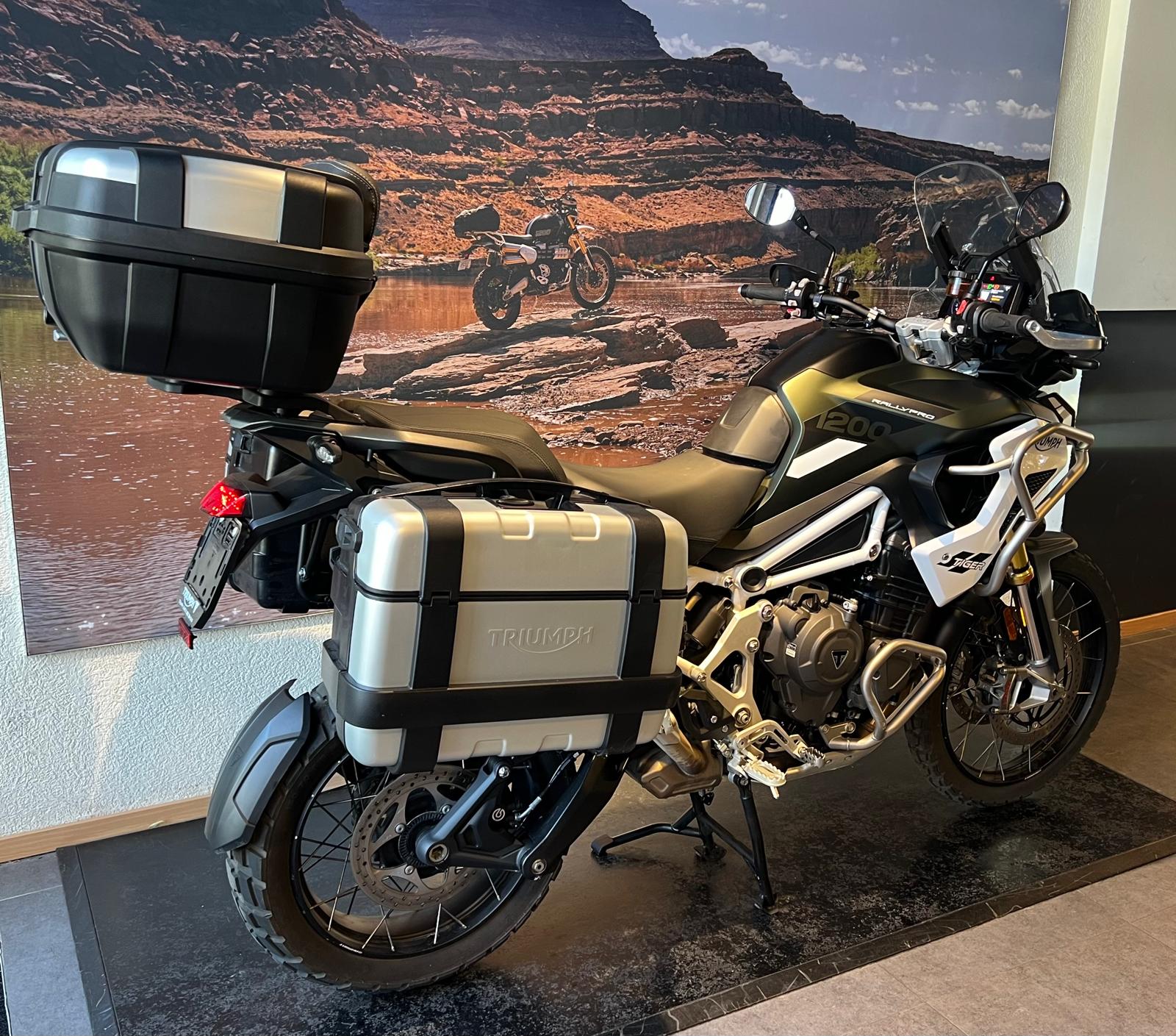 TRIUMPH Tiger 1200 Rally Pro-image-5