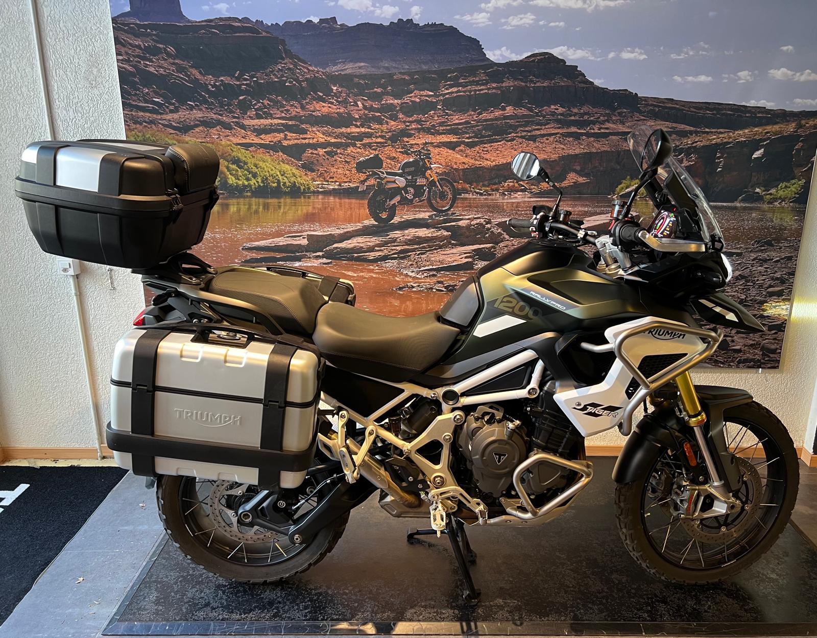 TRIUMPH Tiger 1200 Rally Pro-image-0