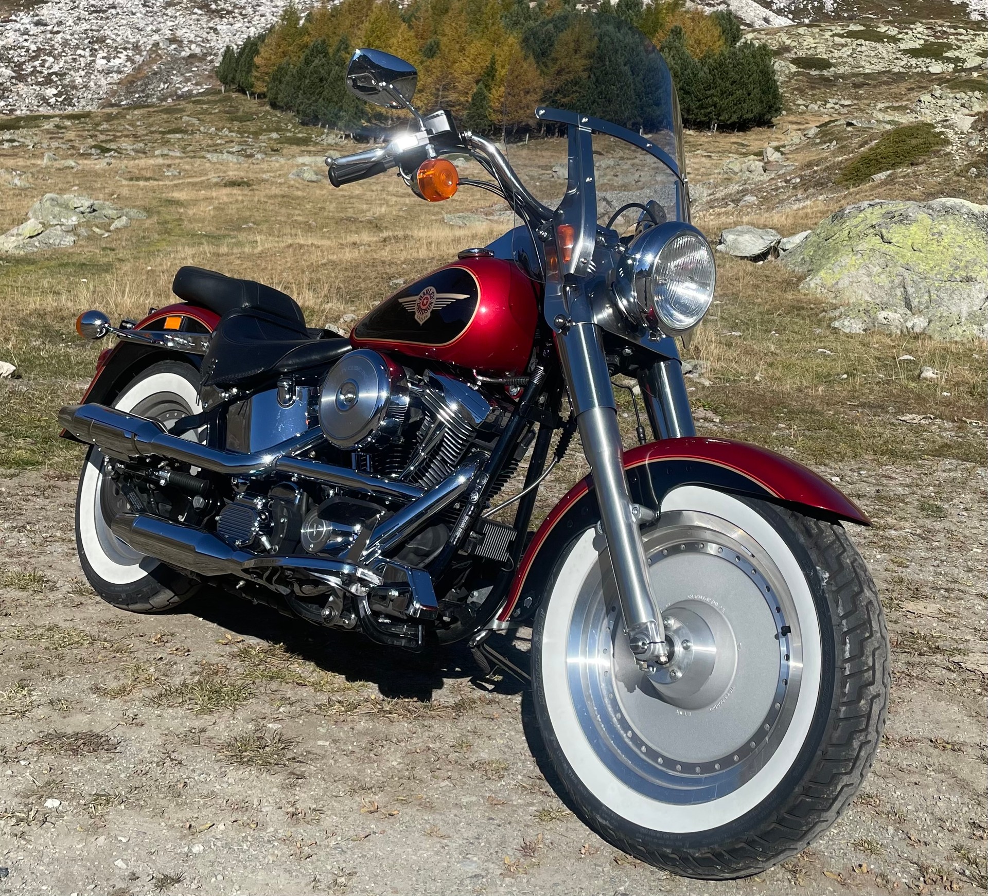 HARLEY-DAVIDSON FLSTF Fat Boy-image-5
