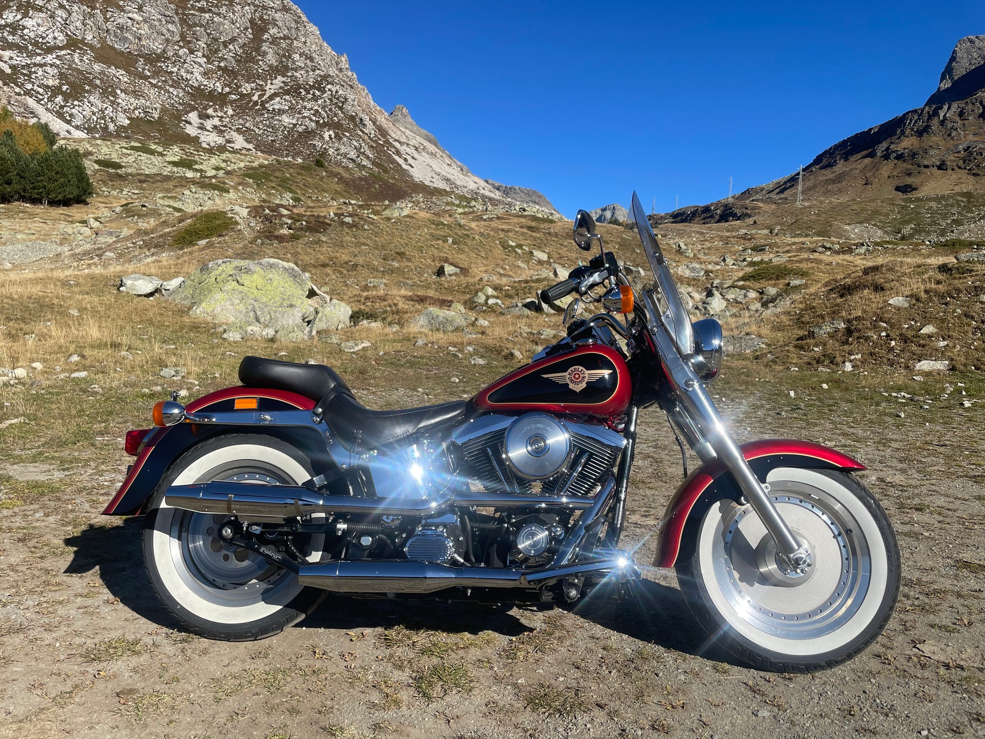 HARLEY-DAVIDSON FLSTF Fat Boy-image-6