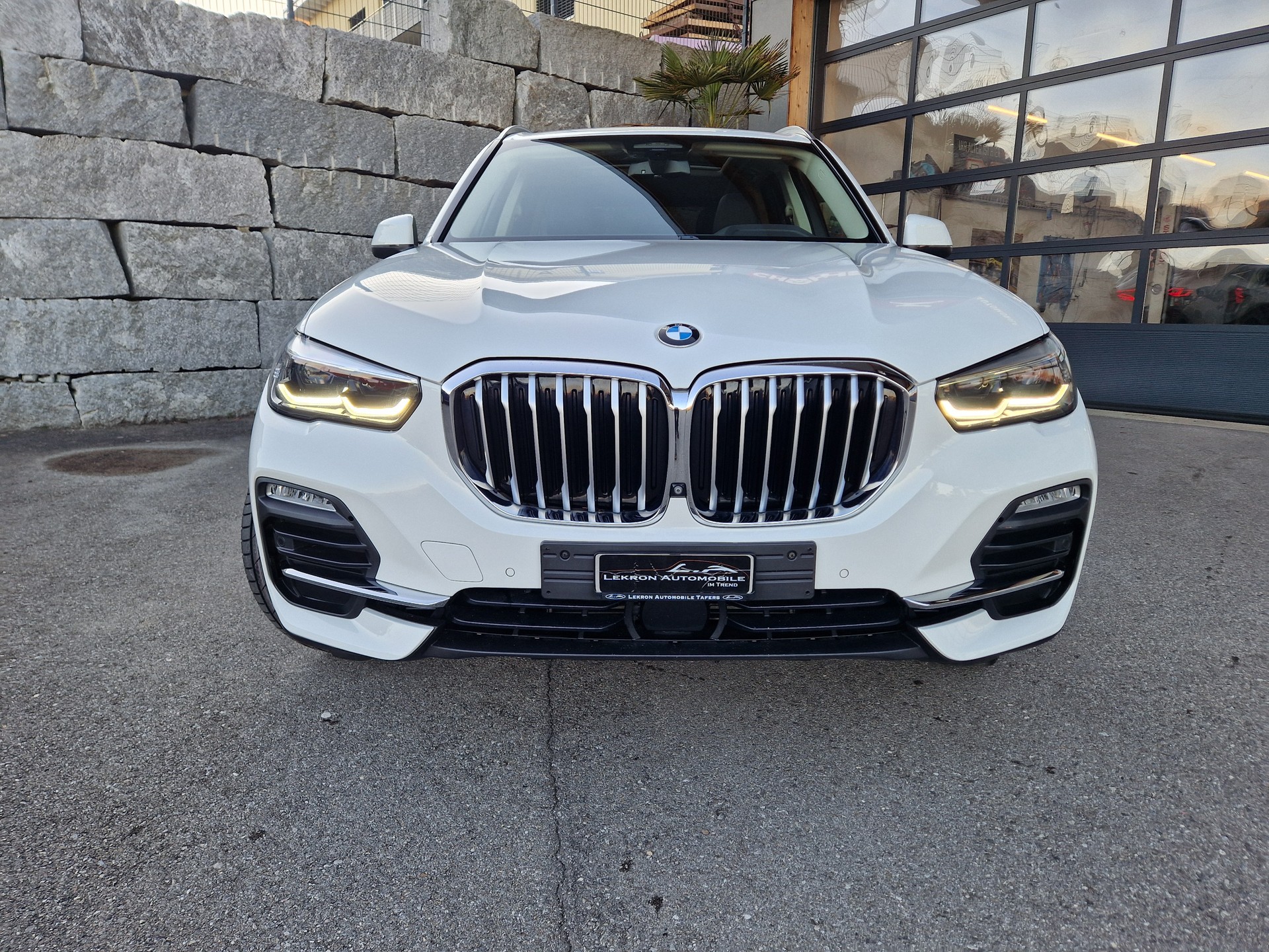 BMW X5 xDrive 30d Steptronic-image-1