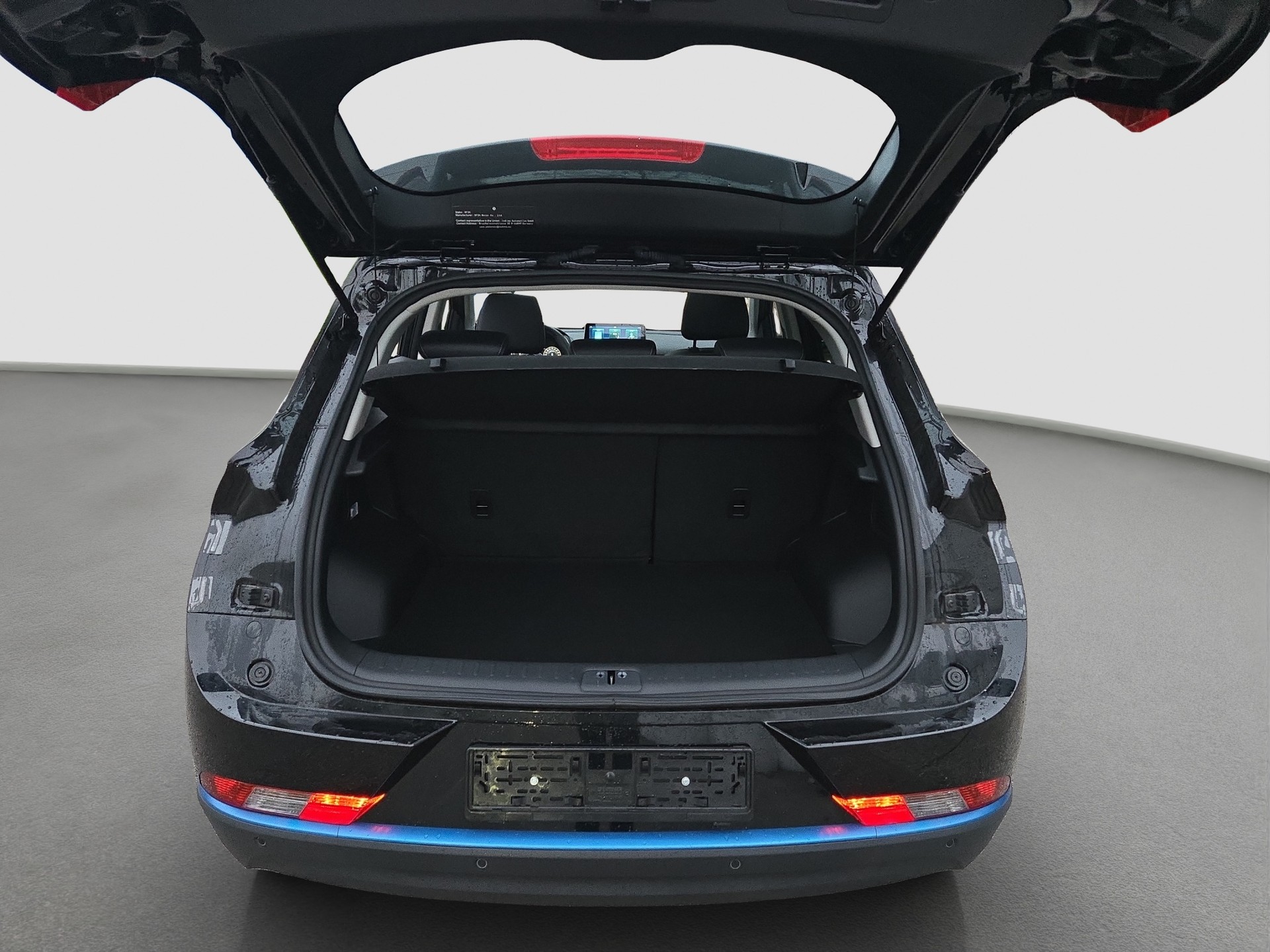 SERES Seres 3 Luxury 54kWh-image-13