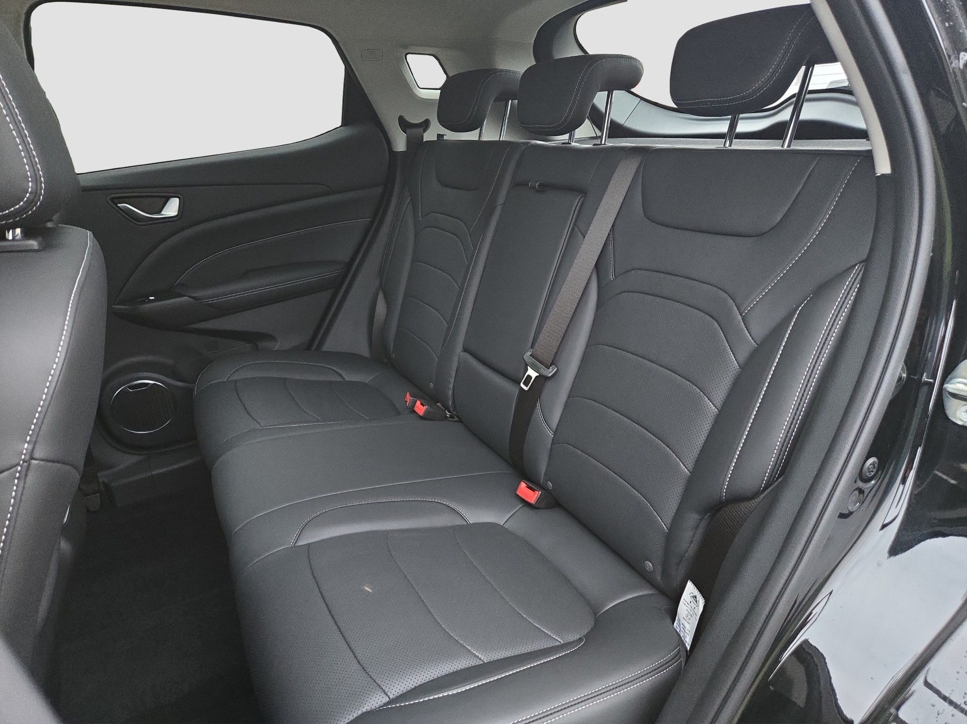 SERES Seres 3 Luxury 54kWh-image-9