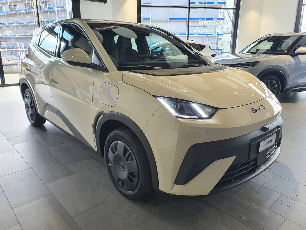BYD Dolphin Surf Active-showroom-element-2
