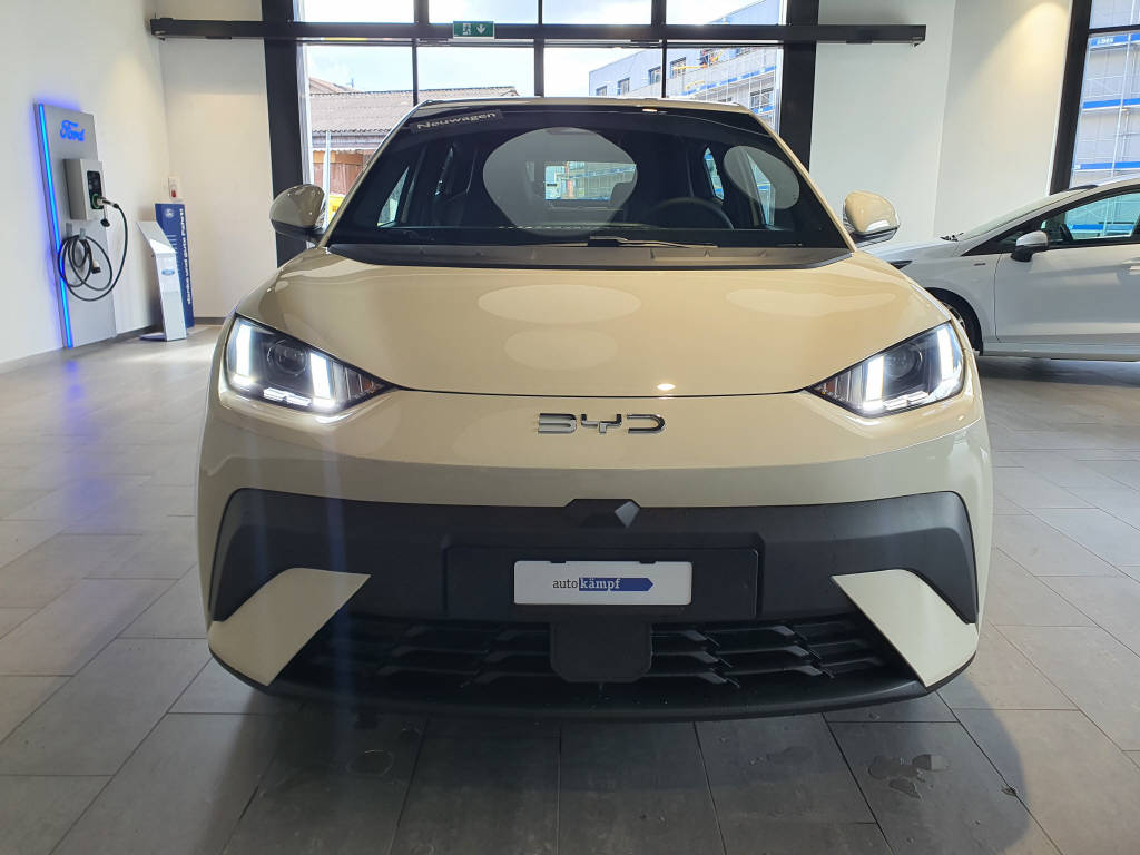 BYD Dolphin Surf Active-showroom-element-1