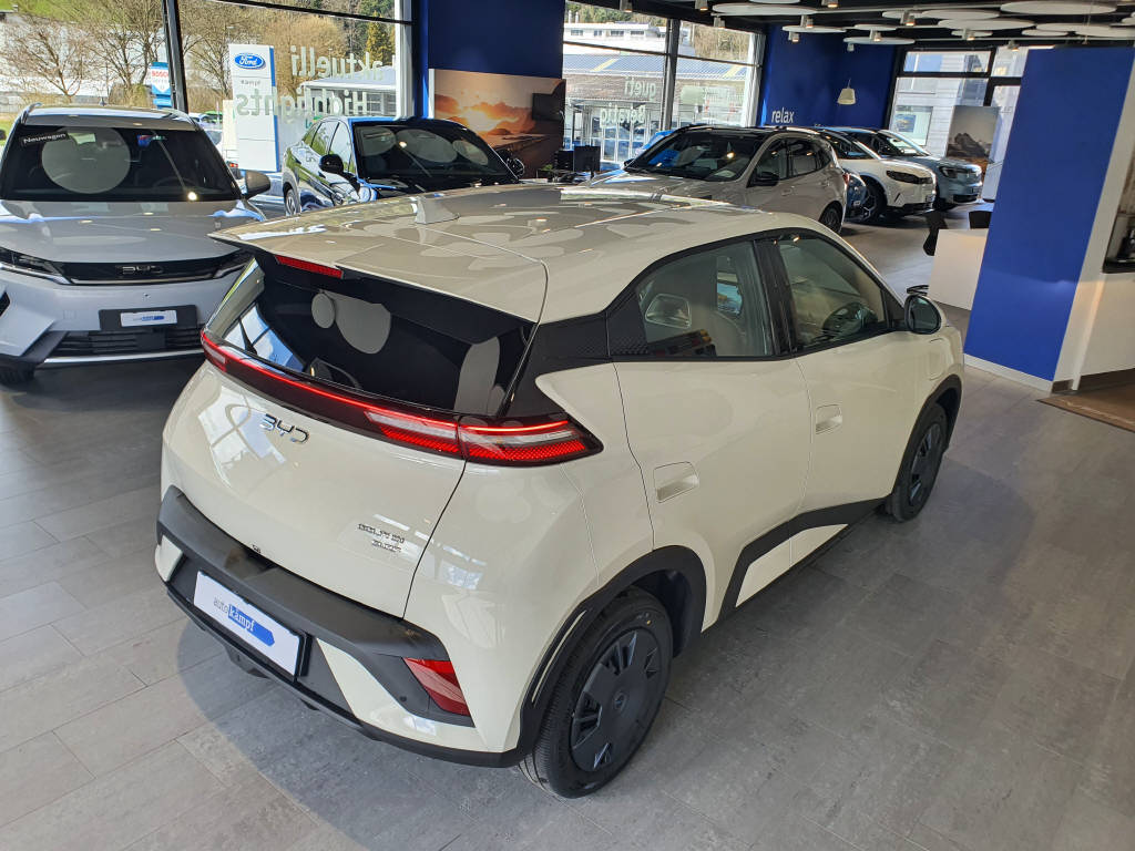 BYD Dolphin Surf Active-image-10