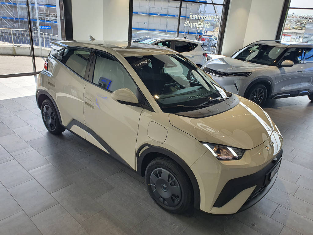 BYD Dolphin Surf Active-image-9