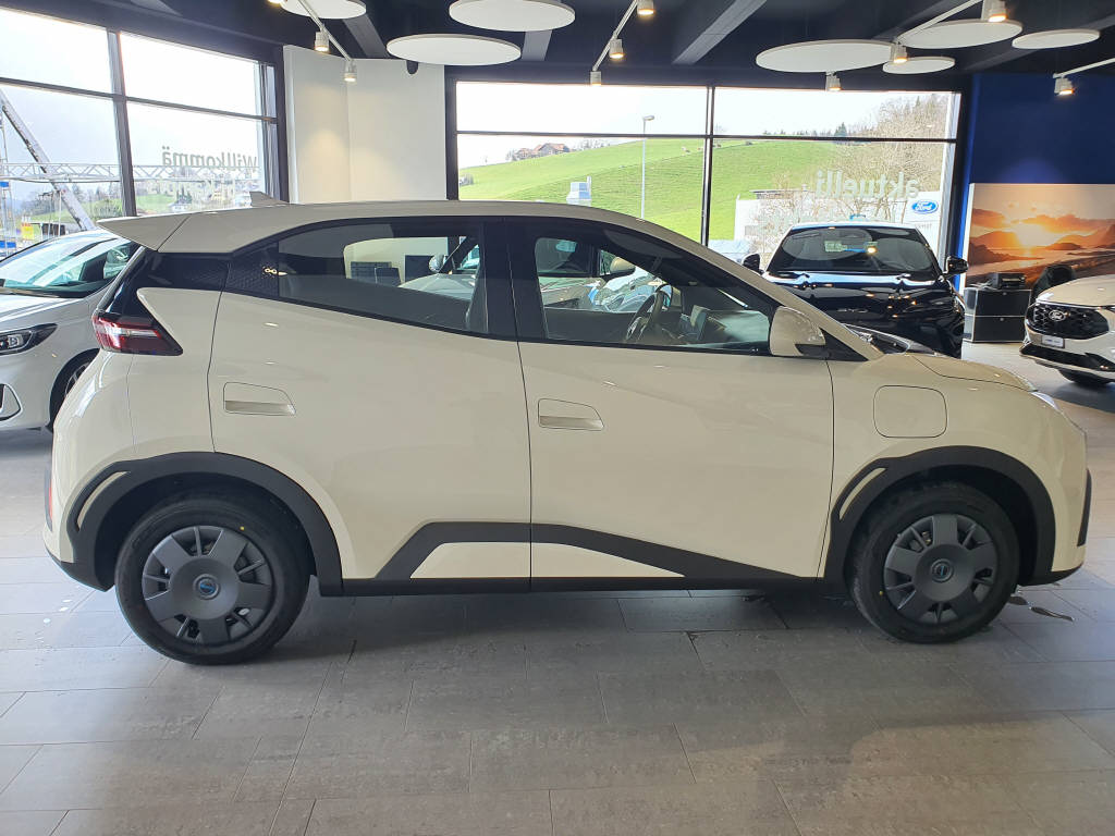 BYD Dolphin Surf Active-showroom-element-3