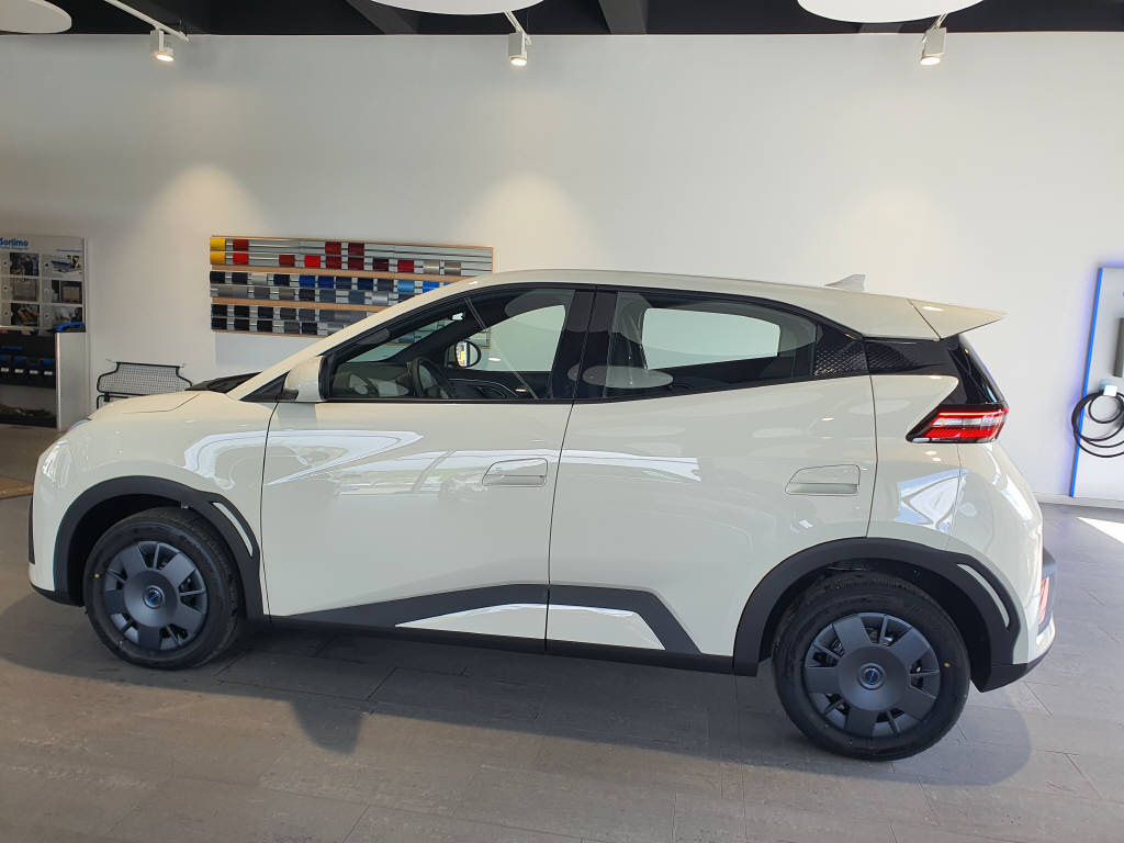 BYD Dolphin Surf Active-image-7