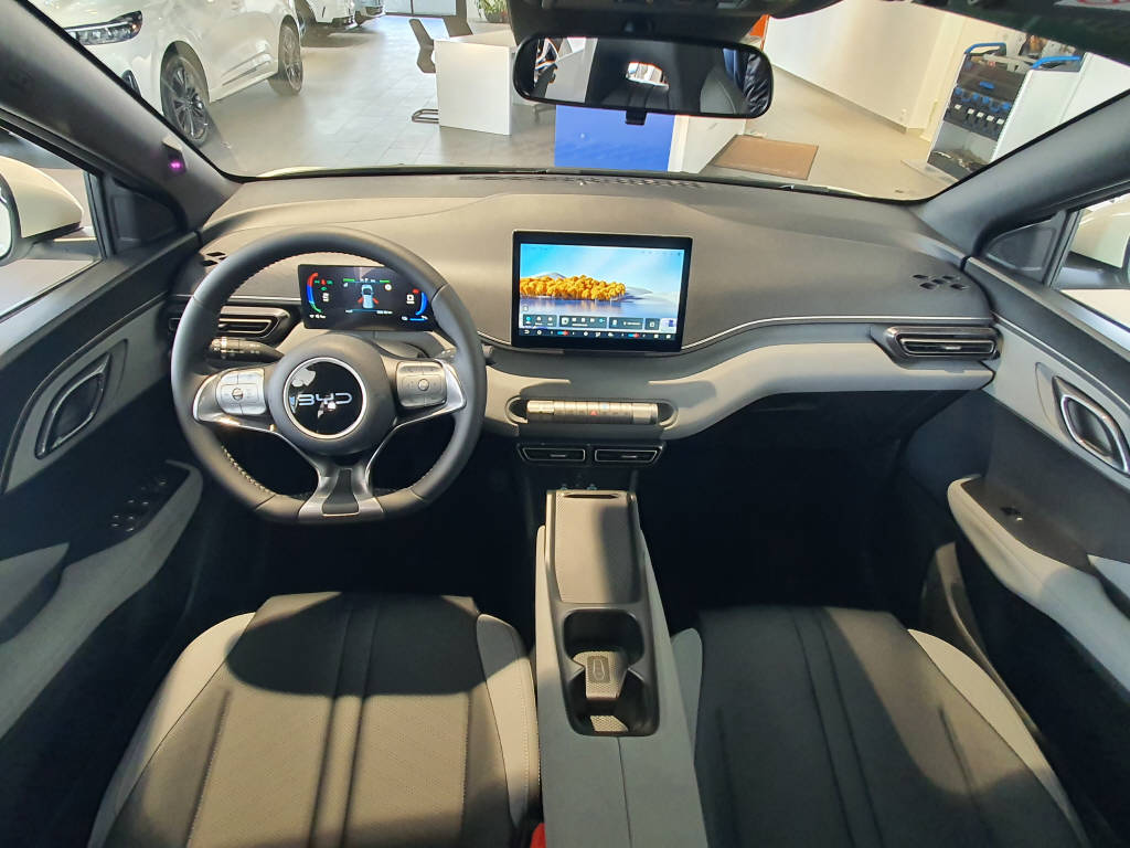 BYD Dolphin Surf Active-image-17