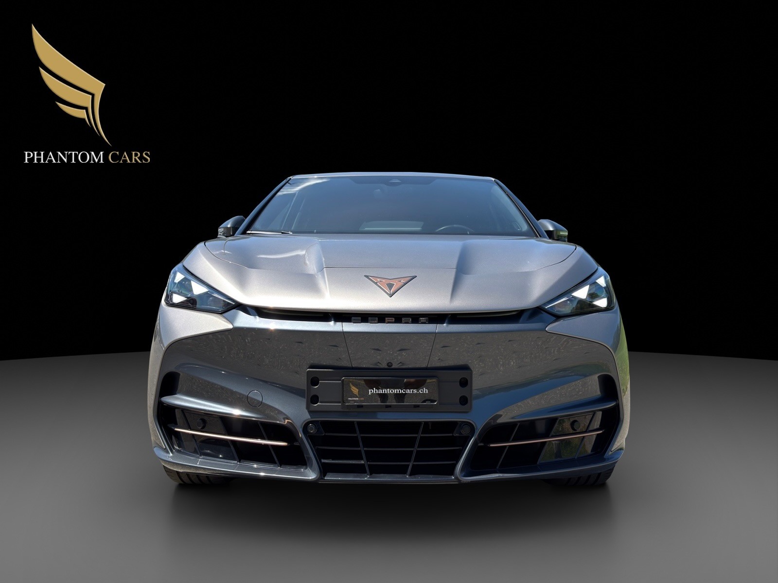 CUPRA Tavascan Type 9 77 kWh Adrenaline-showroom-element-2
