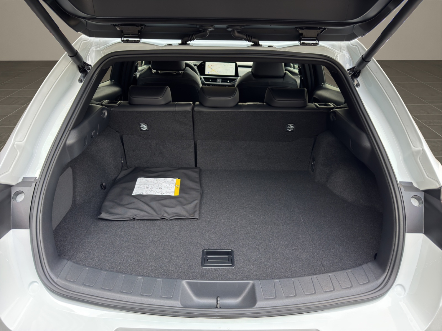 LEXUS UX 300h F-Line-image-20