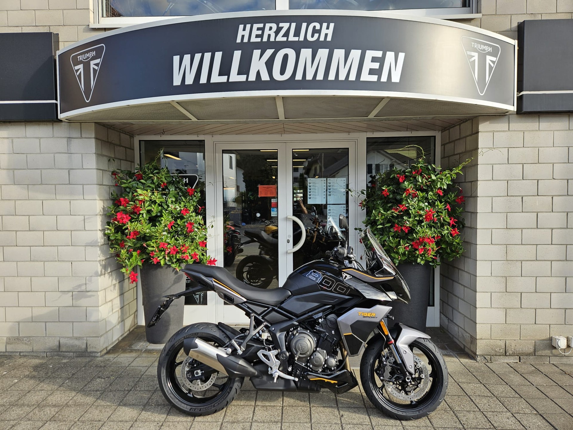 TRIUMPH Tiger Sport 800-image-0