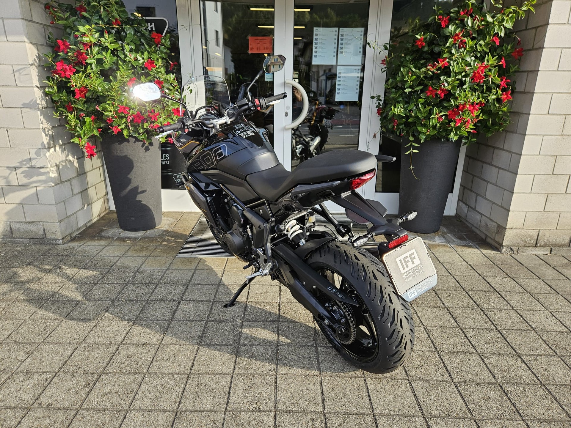 TRIUMPH Tiger Sport 800-image-3