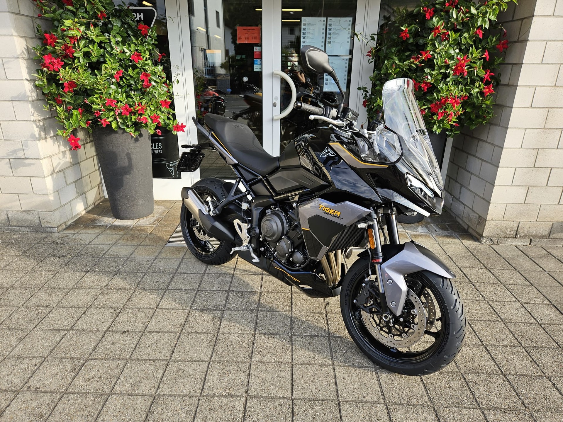 TRIUMPH Tiger Sport 800-image-2